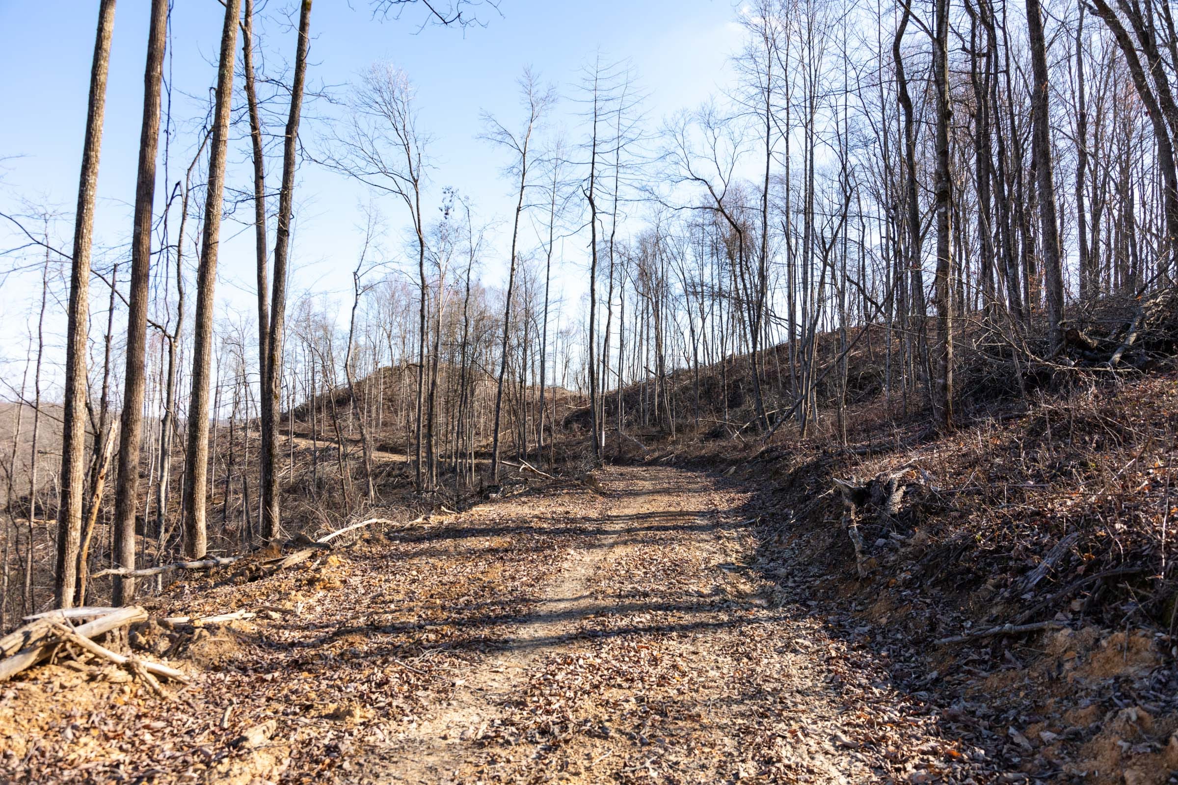 Creek Hollow Phase I Tract 17 photo 1