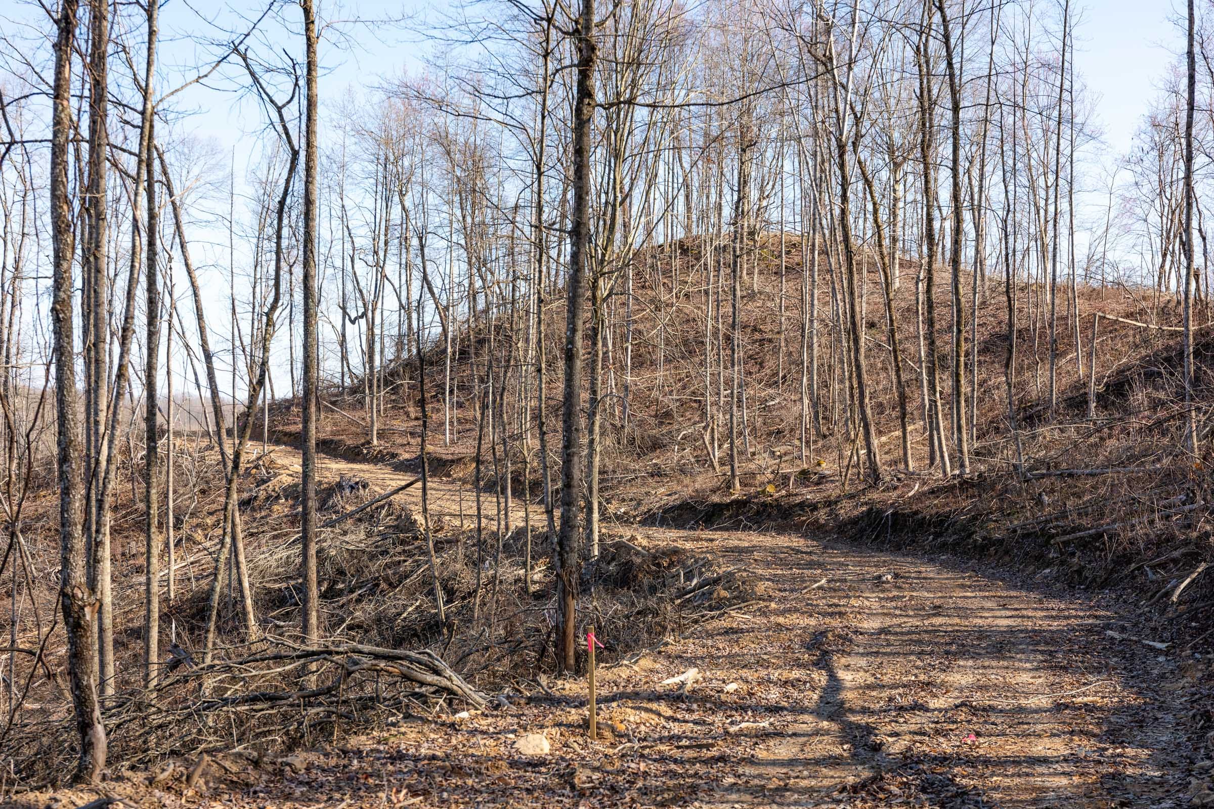 Creek Hollow Phase I Tract 17 photo 3