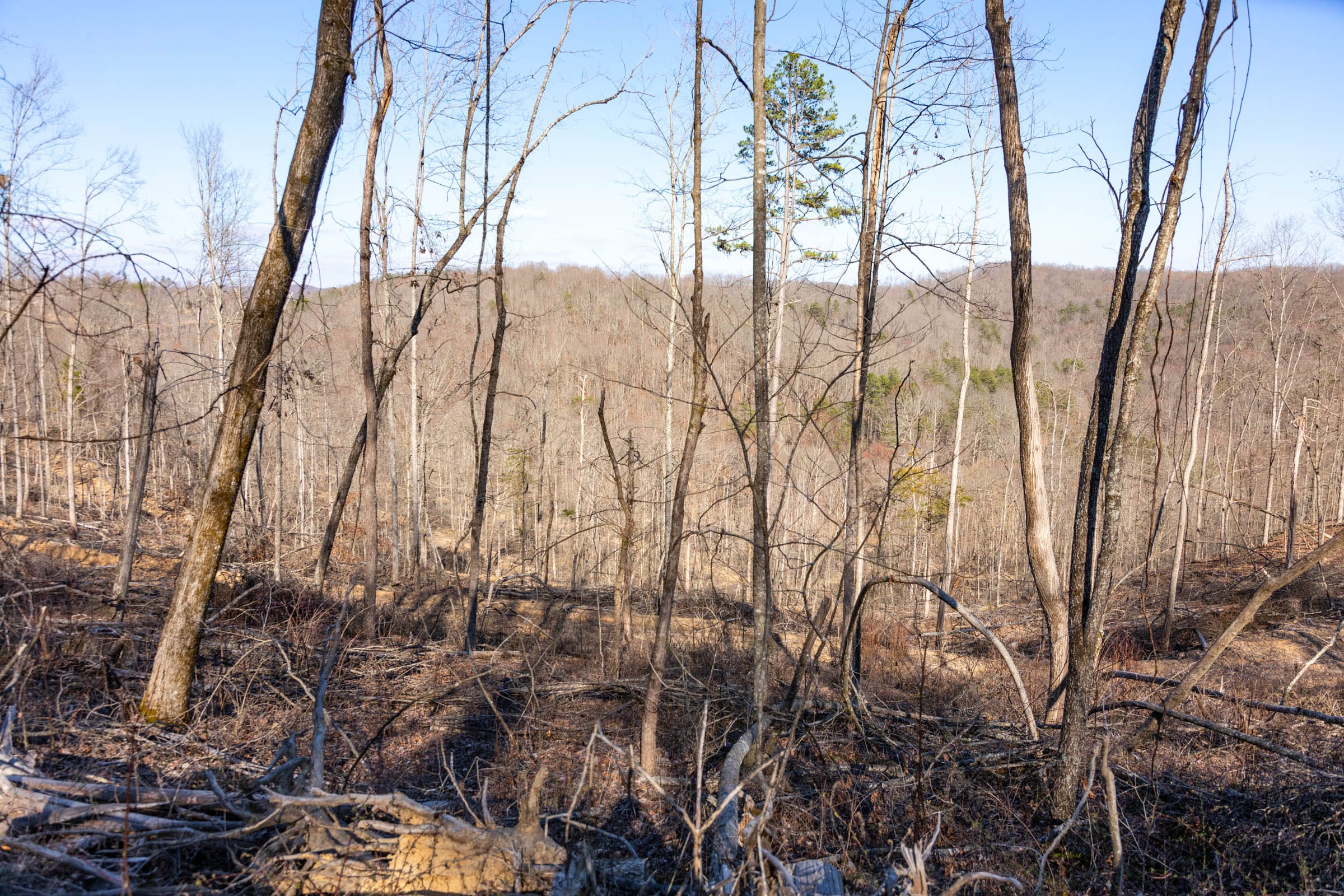 Creek Hollow Phase I Tract 17 photo 6
