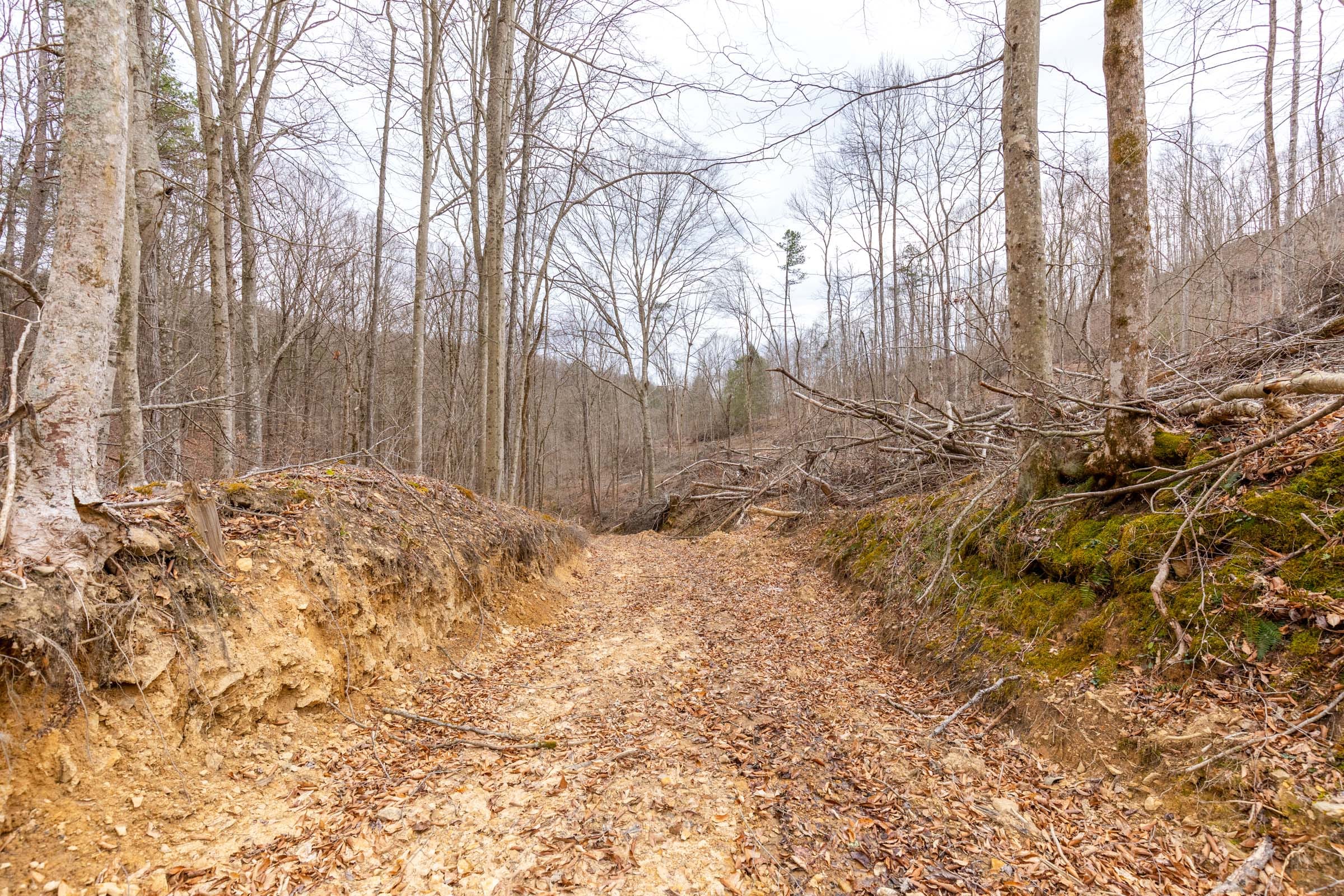 Creek Hollow Phase I Tract 17 photo 5