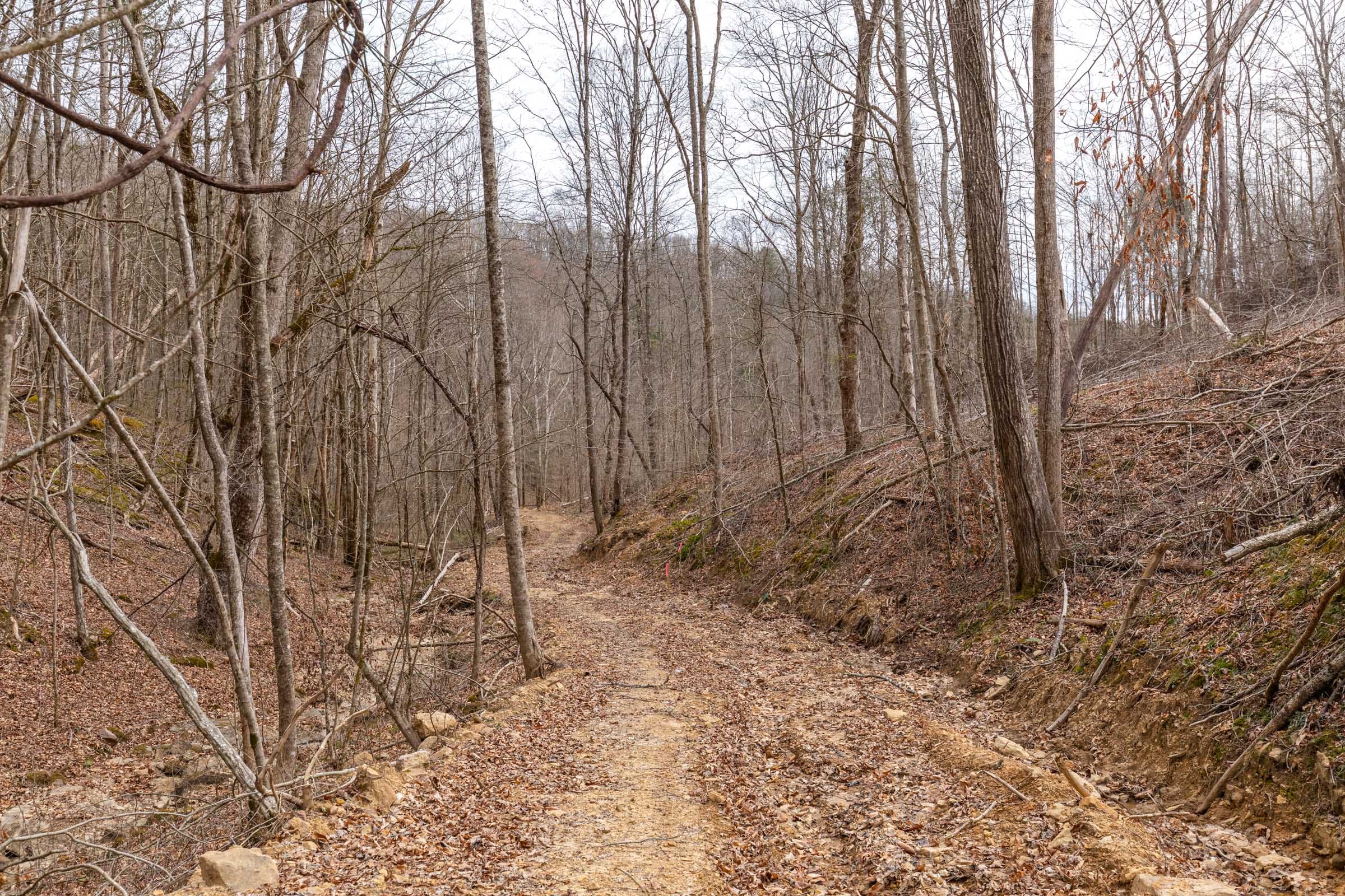 Creek Hollow Phase I Tract 17 photo 7