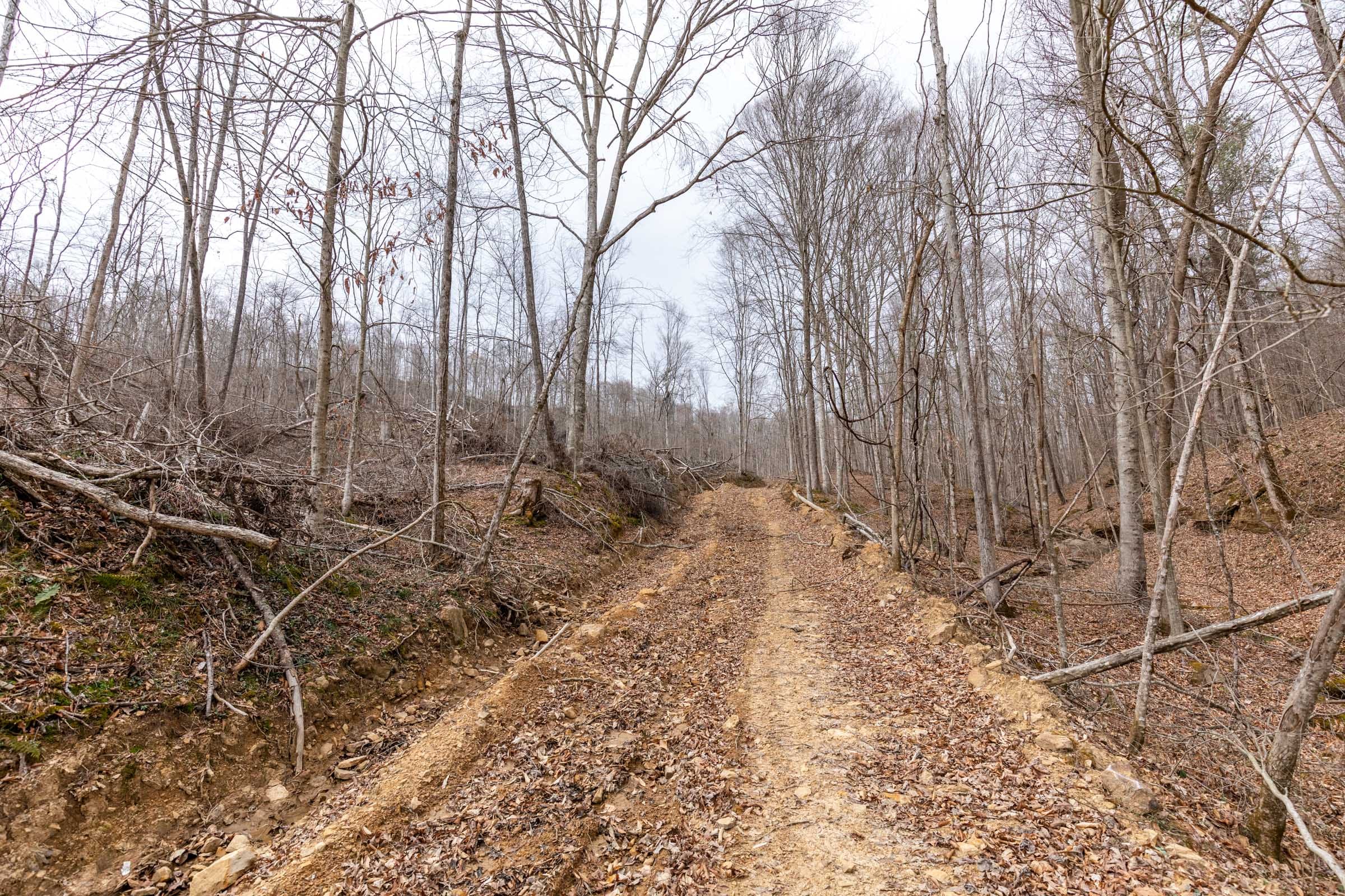 Creek Hollow Phase I Tract 17 photo 9