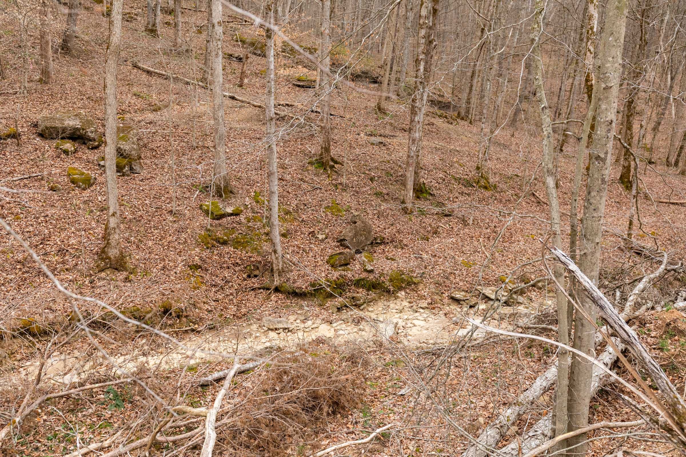 Creek Hollow Phase I Tract 17 photo 8