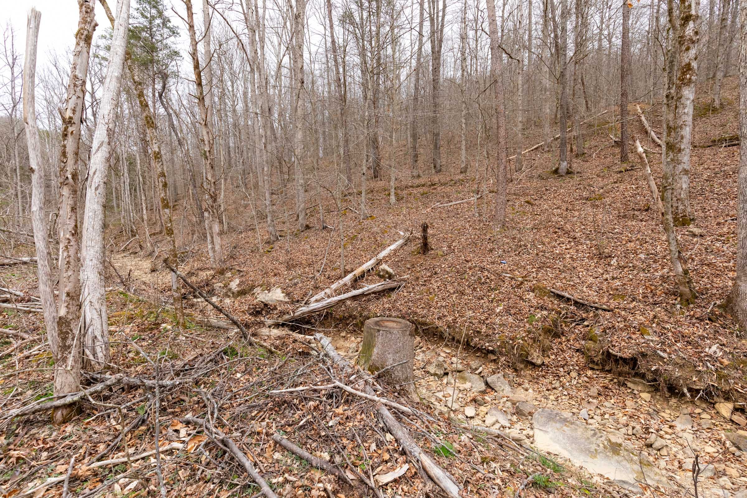 Creek Hollow Phase I Tract 17 photo 11
