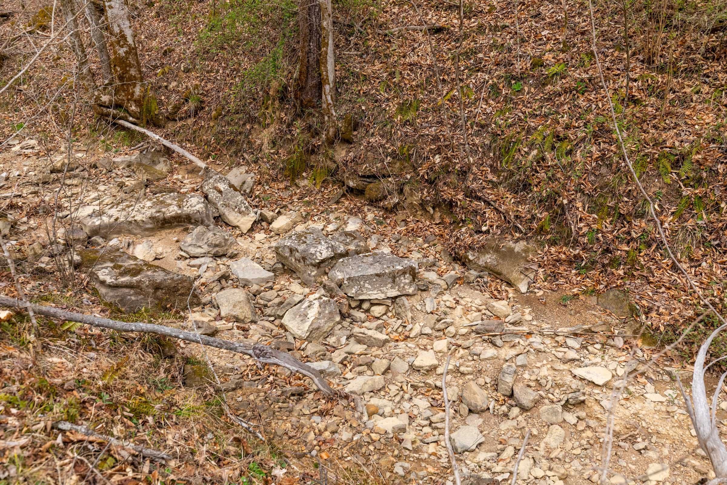 Creek Hollow Phase I Tract 17 photo 12