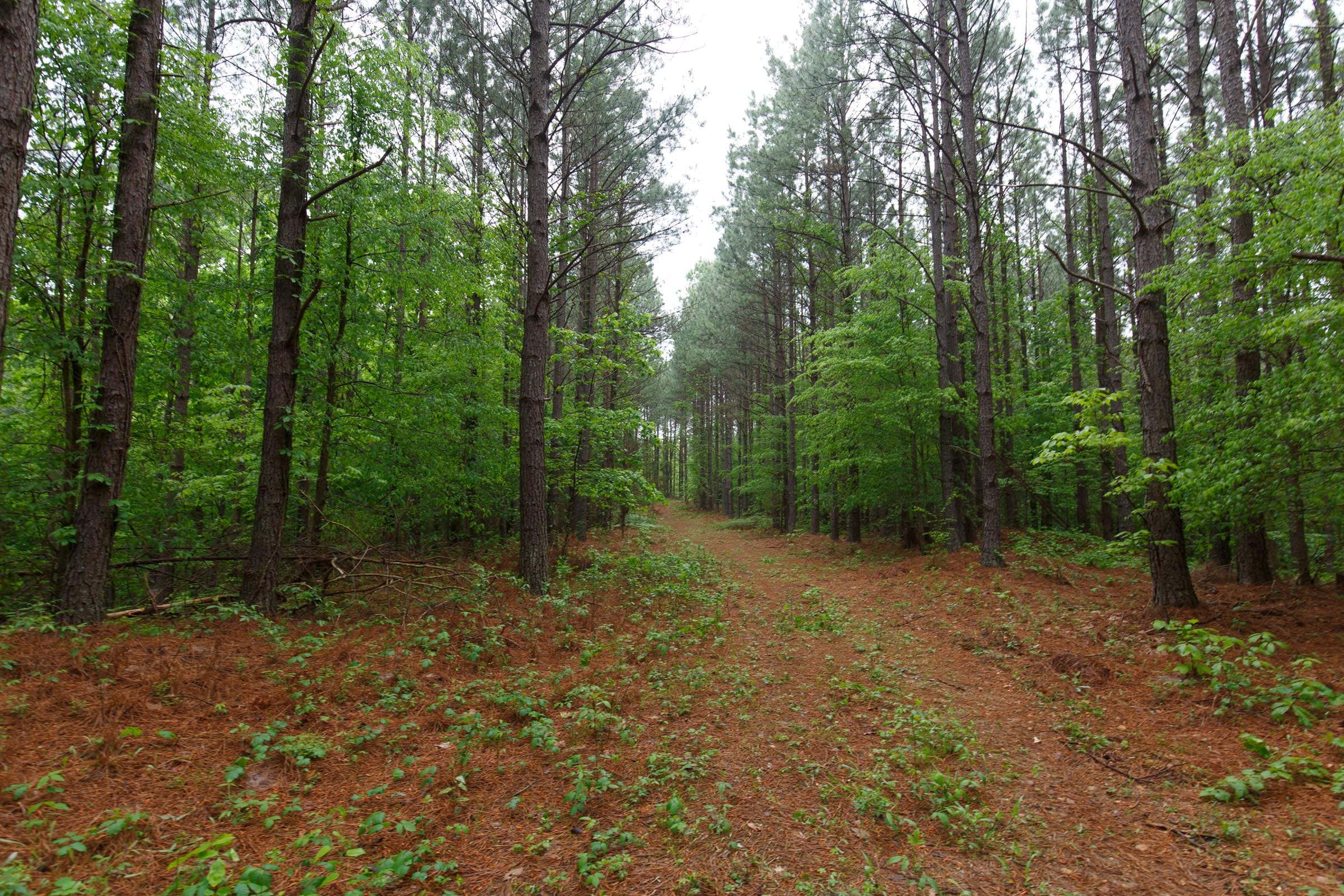 Red Barn Ranch Tract 28 photo 1