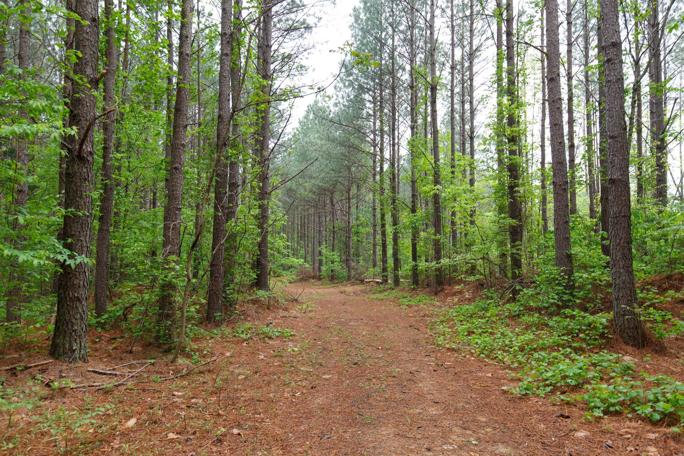 Red Barn Ranch Tract 28 photo 8