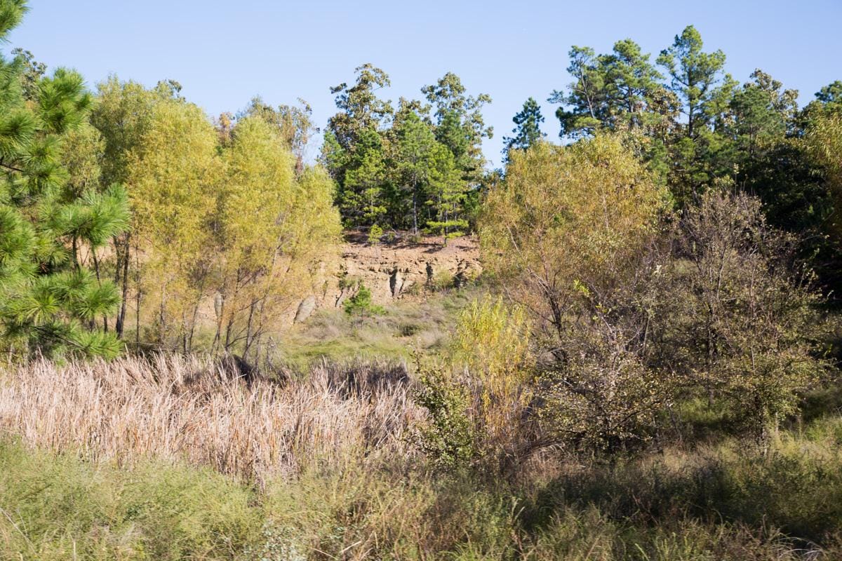 Stone Creek Phase I Tract 156 photo 5