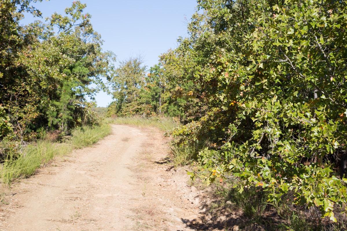 Stone Creek Phase I Tract 156 photo 1