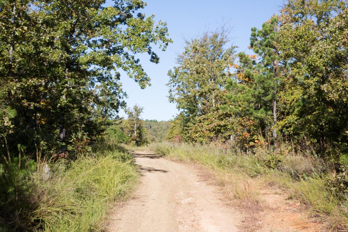 Stone Creek Phase I Tract 156 photo 7