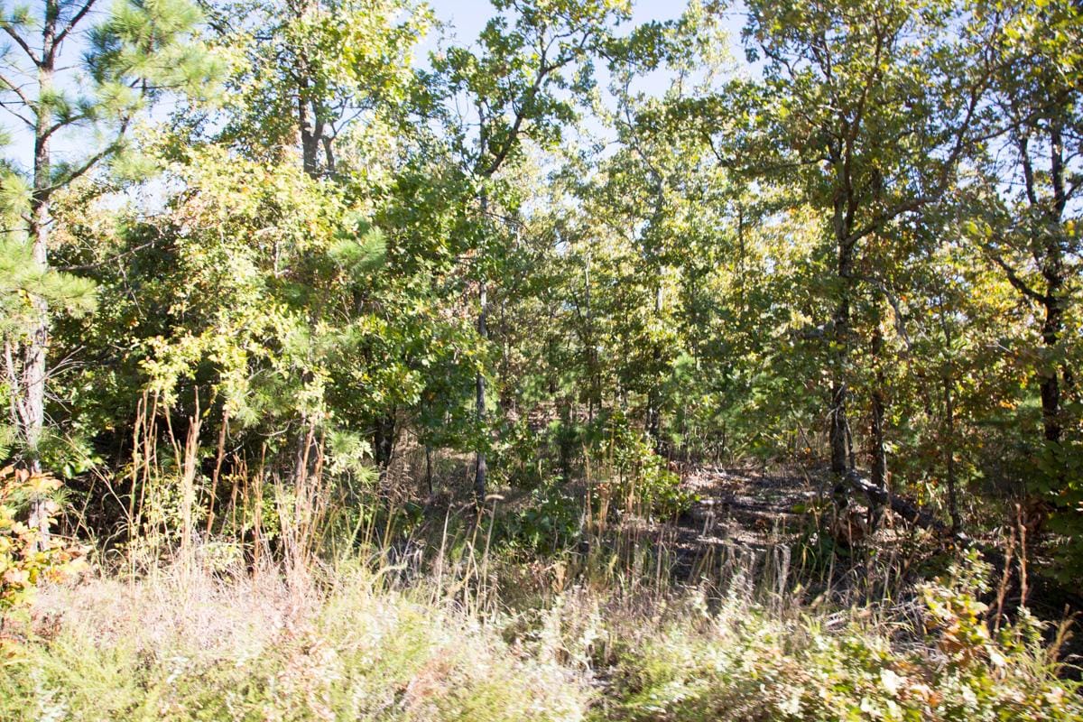 Stone Creek Phase I Tract 156 photo 8