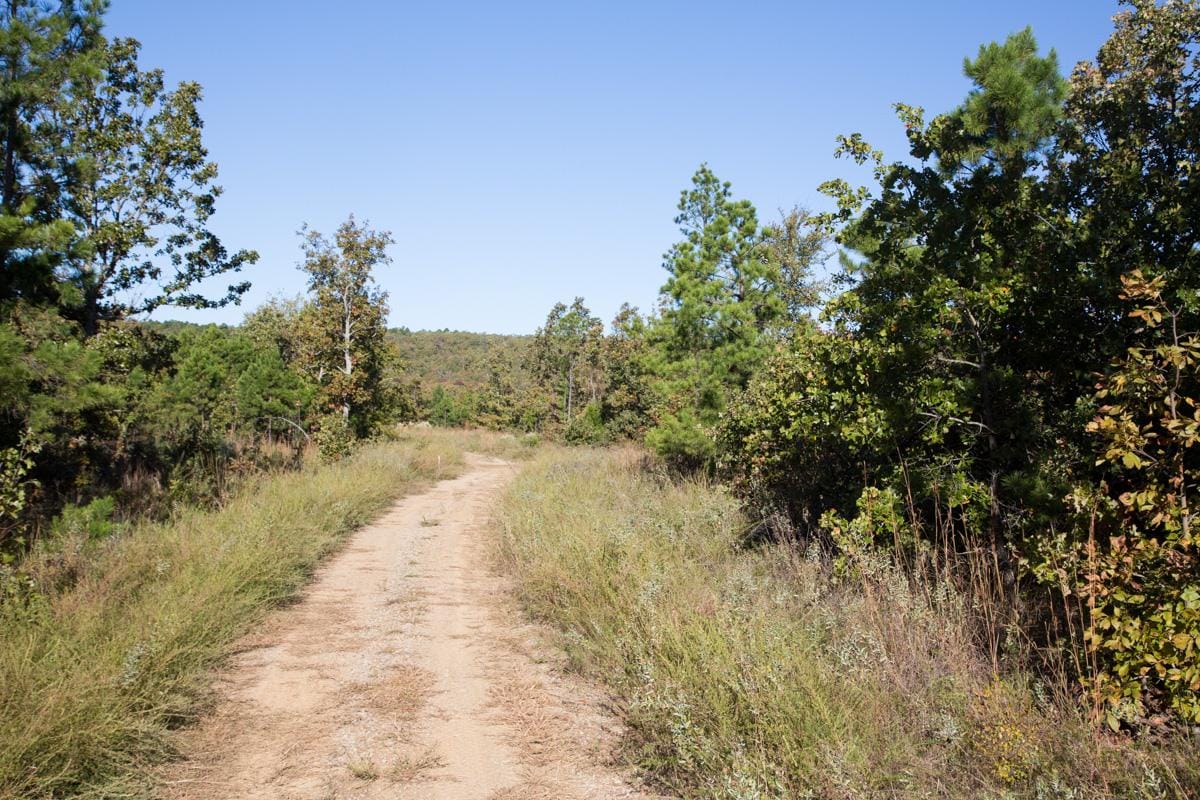 Stone Creek Phase I Tract 156 photo 10