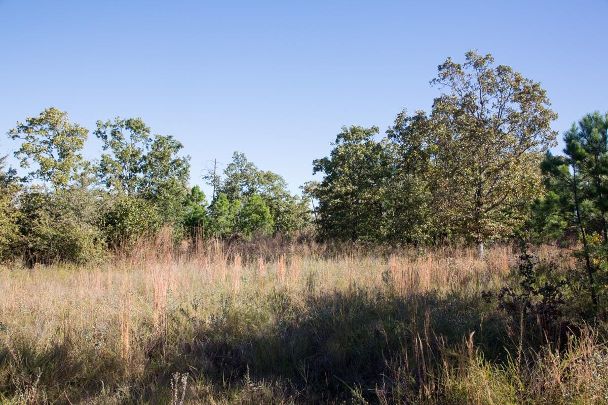 Stone Creek Phase I Tract 156 photo 13