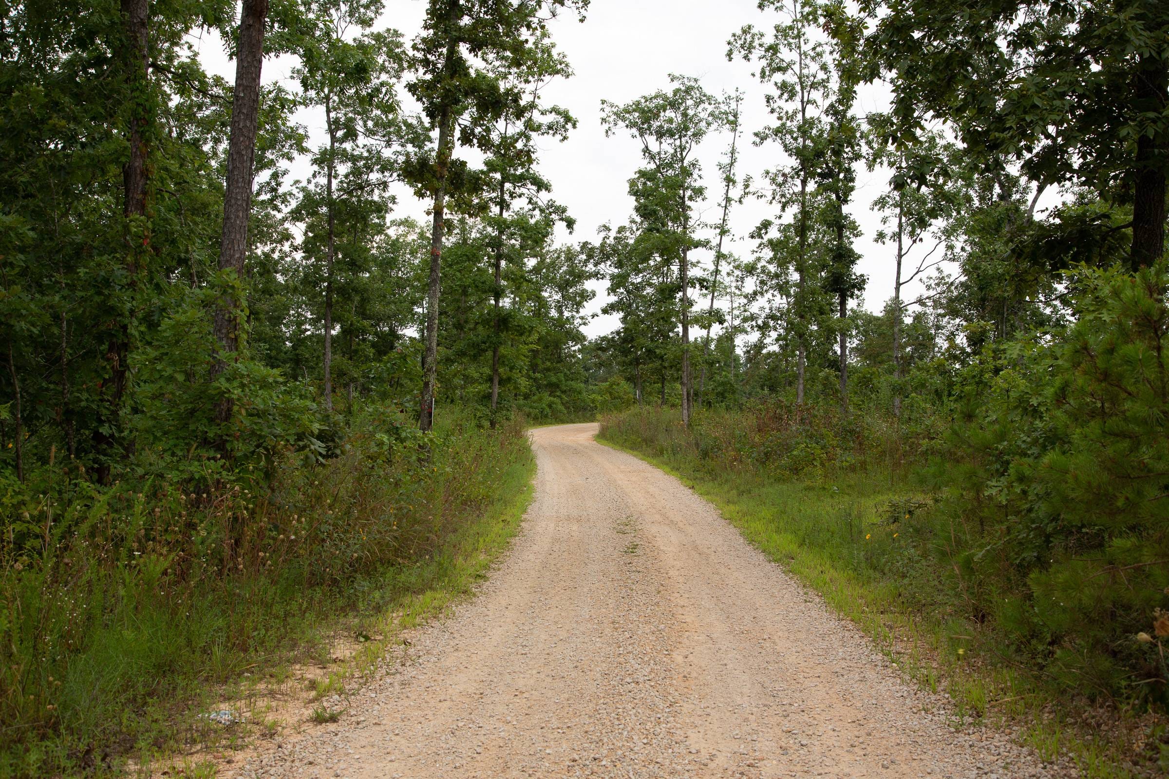 Borgmann’s Hollow Phase I Tract 31 photo 8