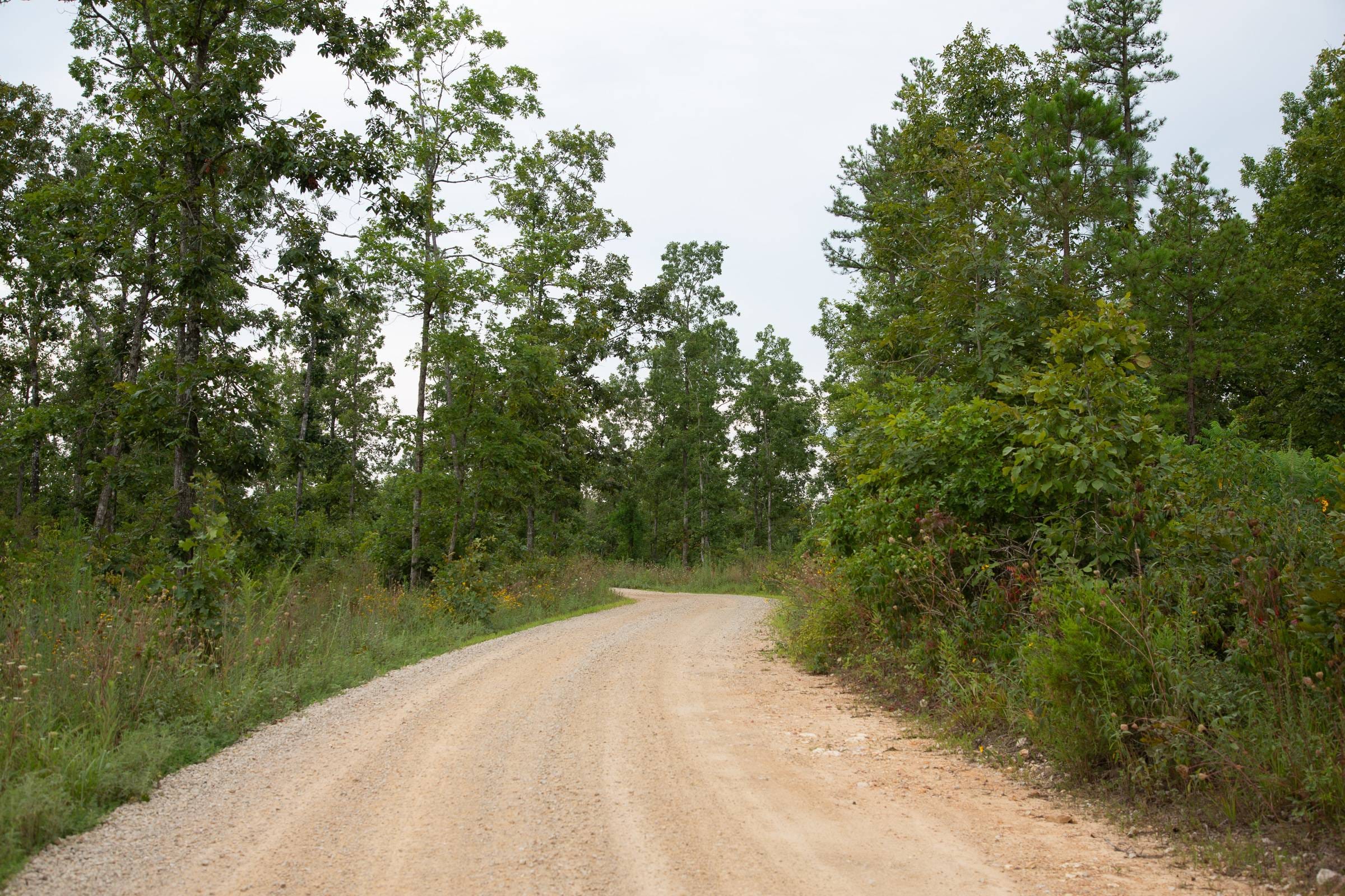 Borgmann’s Hollow Phase I Tract 31 photo 1