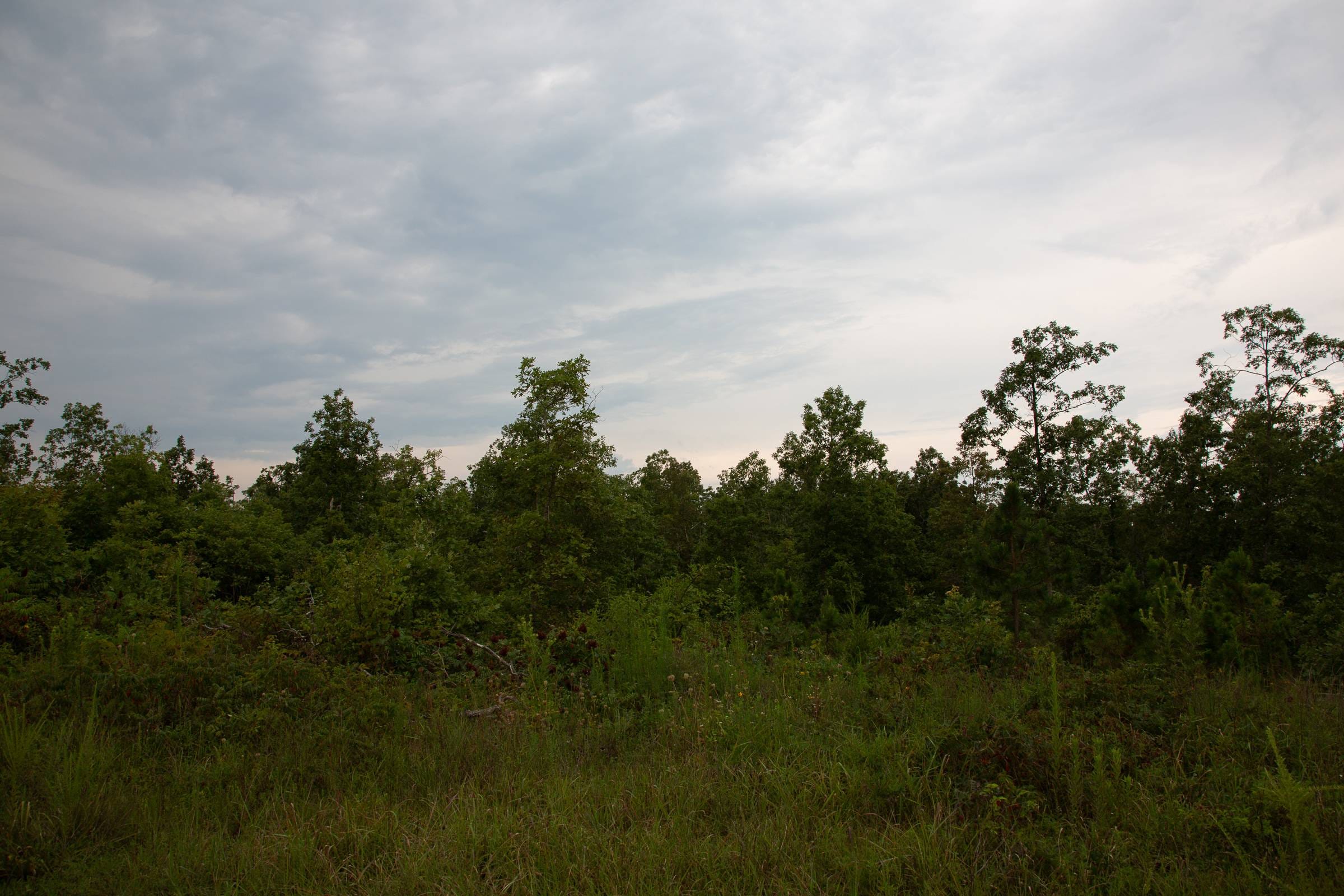 Borgmann’s Hollow Phase I Tract 31 photo 7