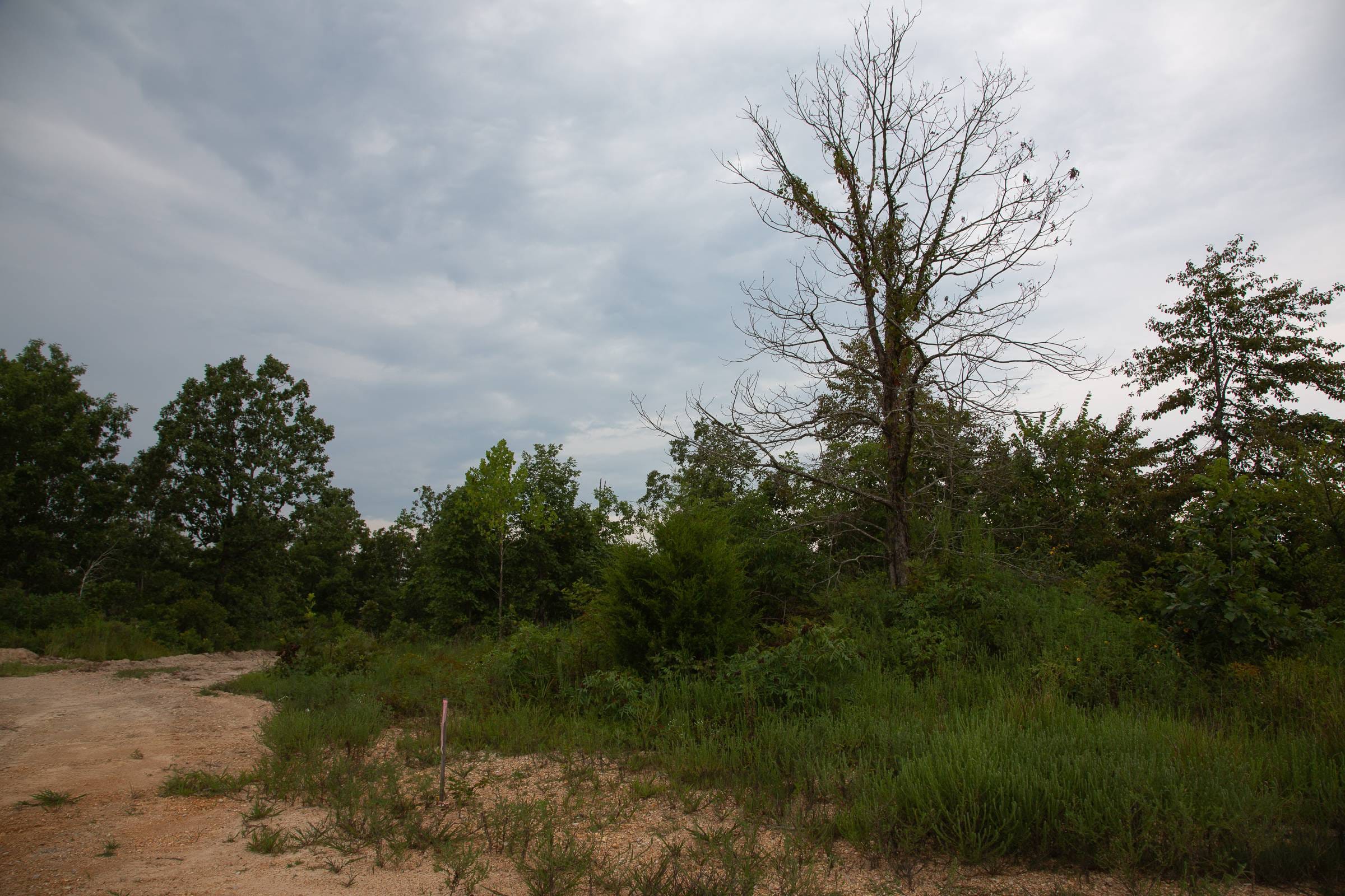 Borgmann’s Hollow Phase I Tract 31 photo 9
