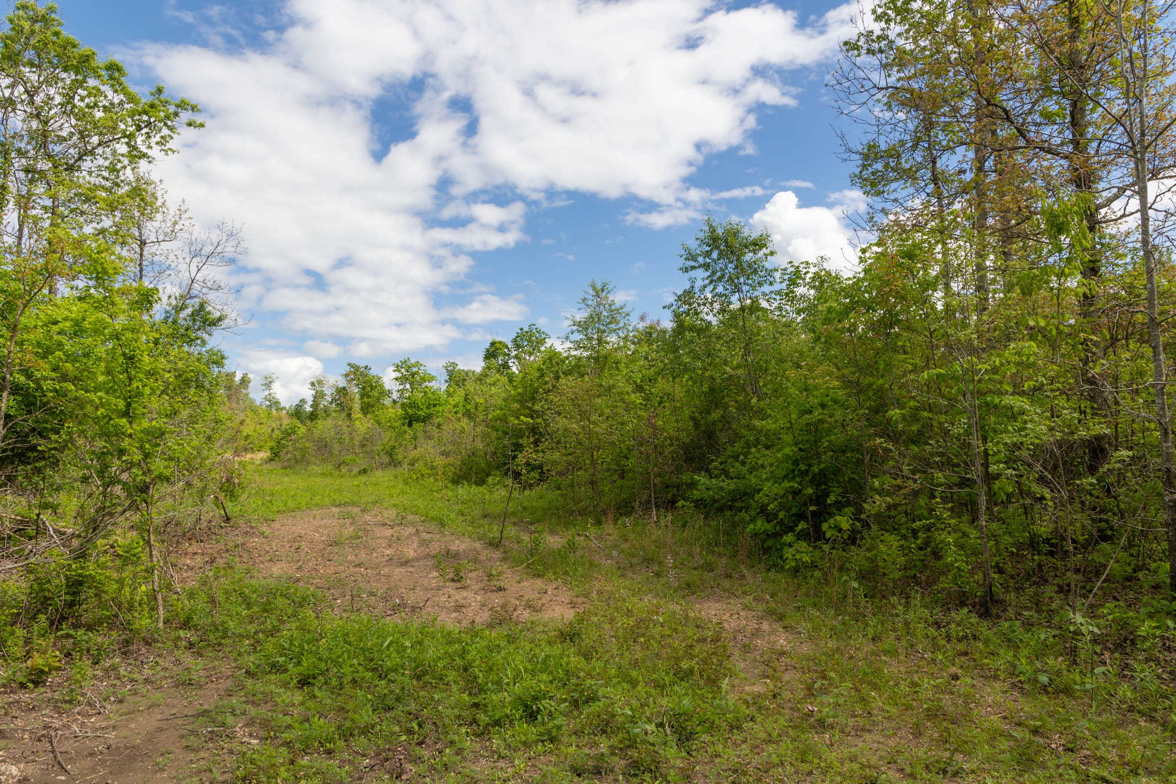Sleepy Hollow Phase II Tract 105 photo 15