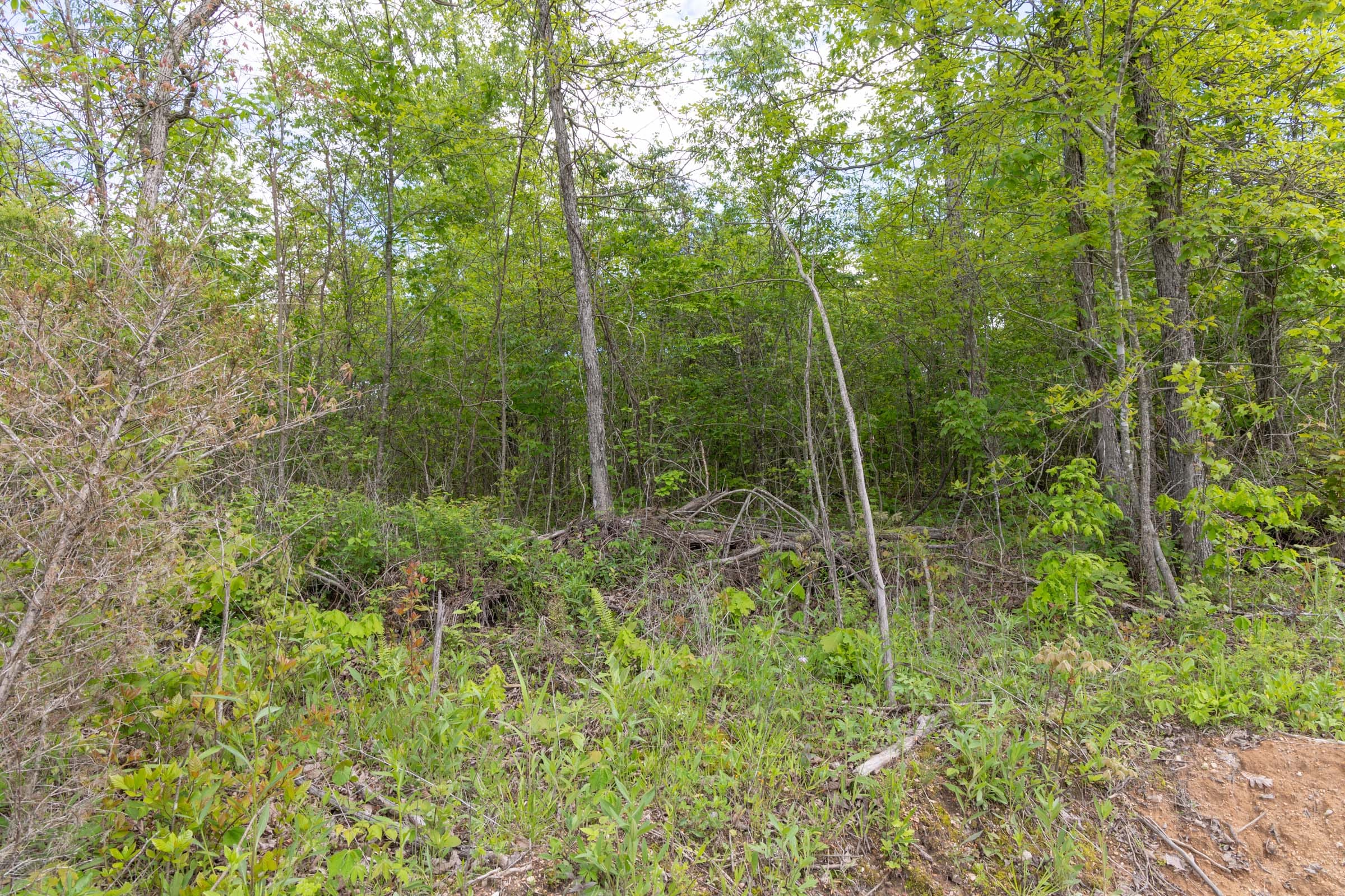 Sleepy Hollow Phase II Tract 105 photo 14
