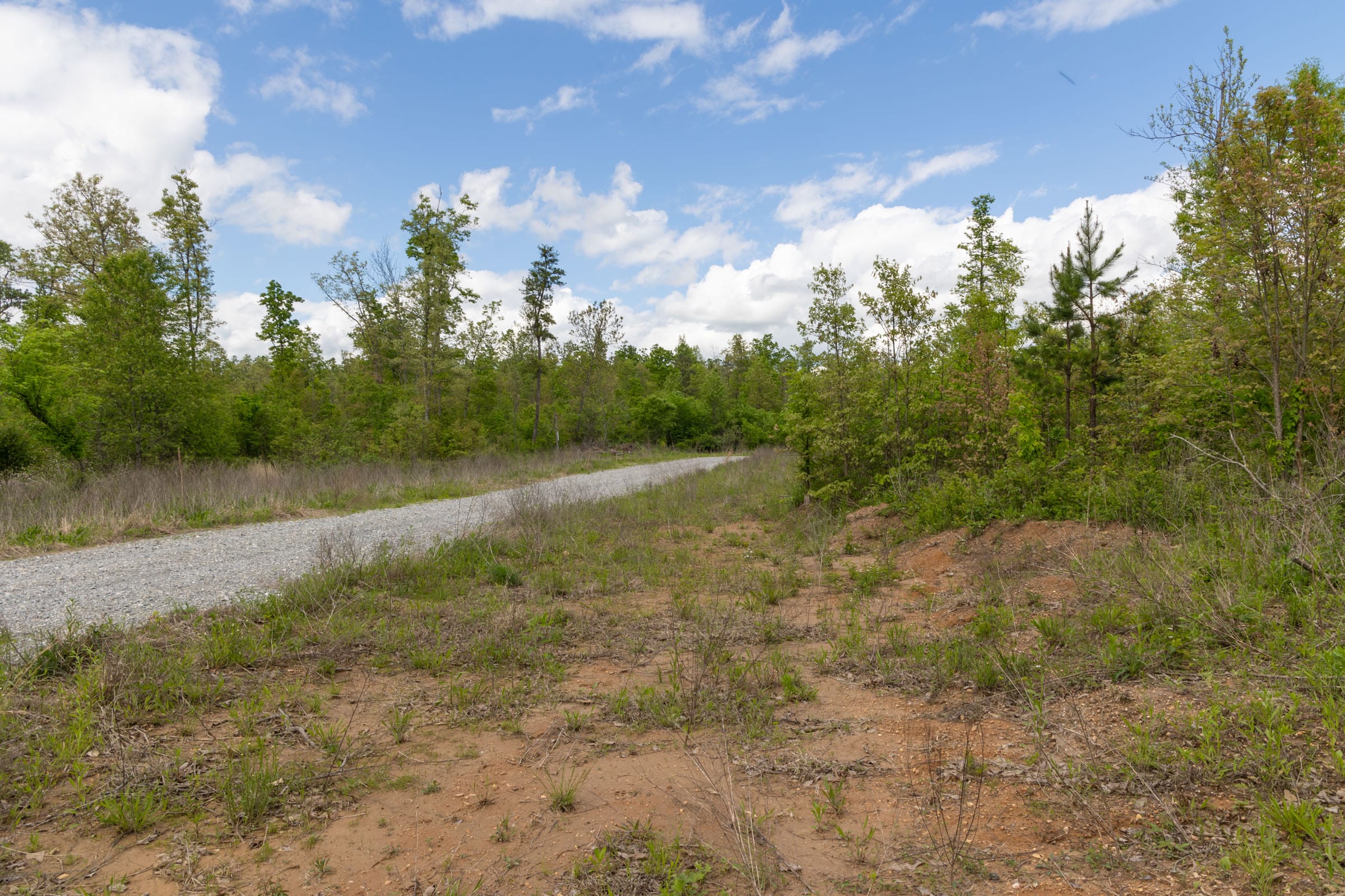 Sleepy Hollow Phase II Tract 105 photo 13