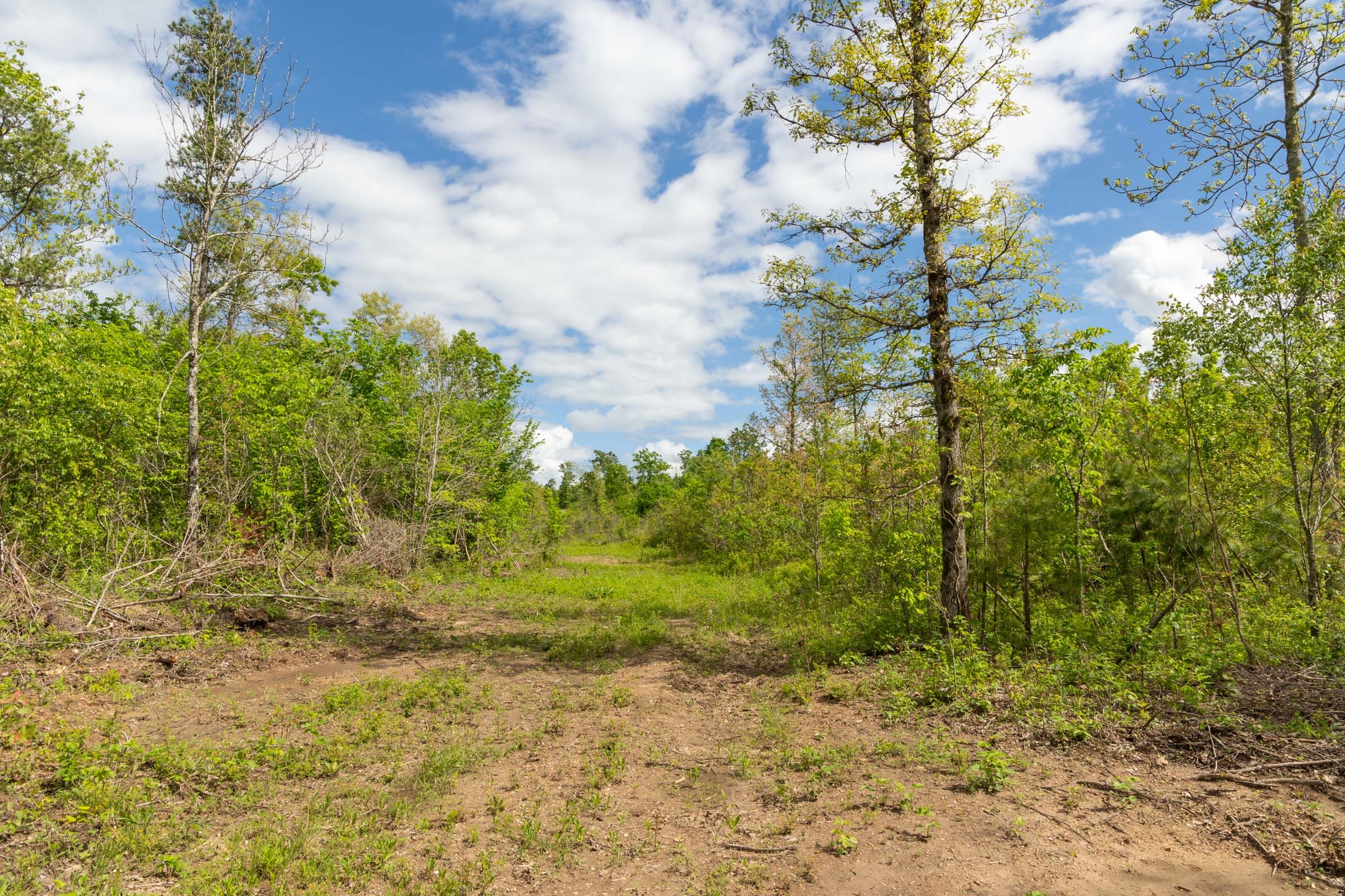 Sleepy Hollow Phase II Tract 105 photo 1
