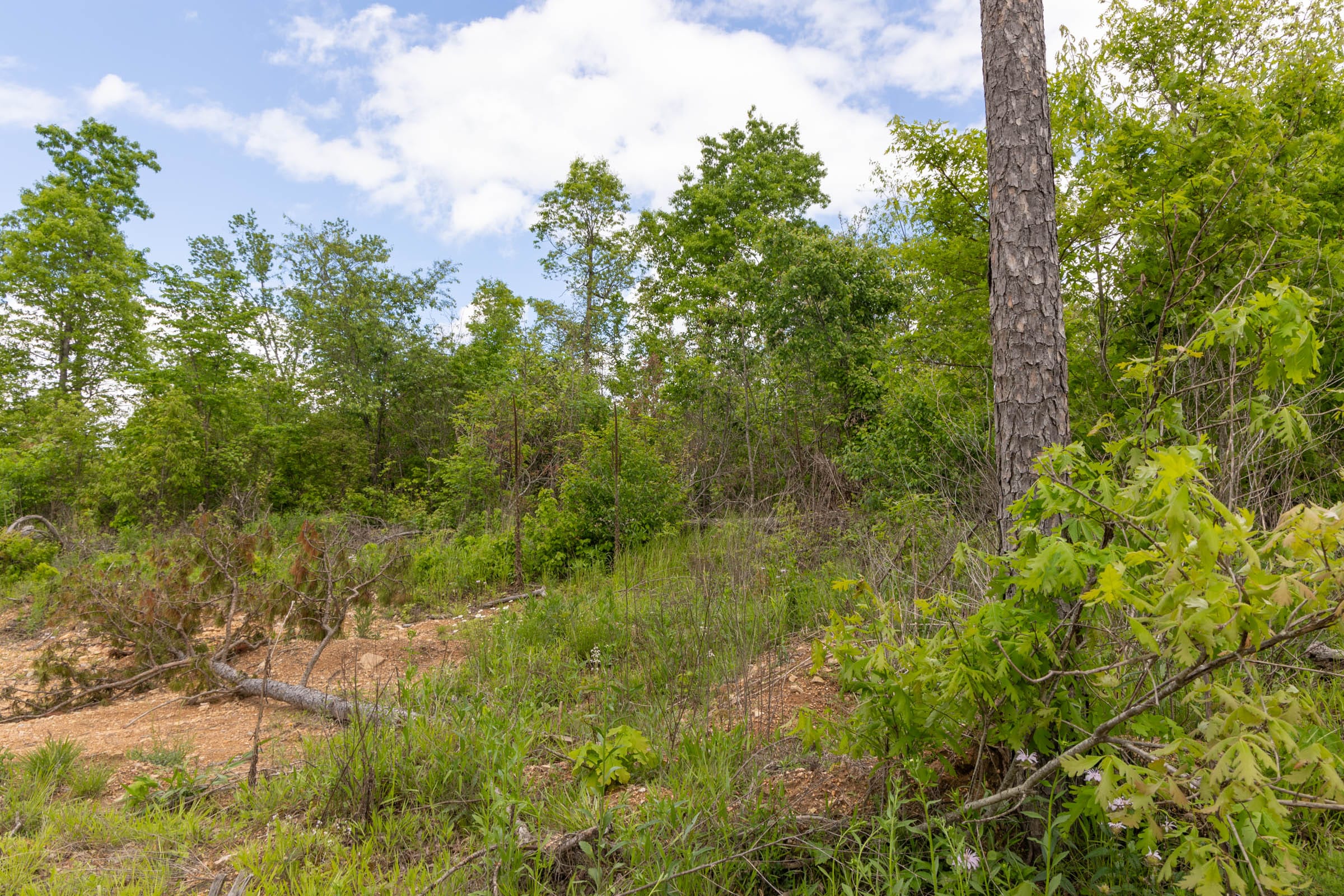 Sleepy Hollow Phase II Tract 105 photo 12