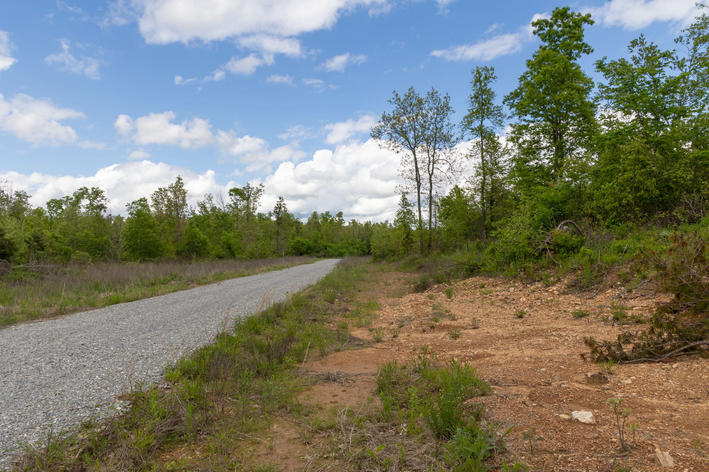 Sleepy Hollow Phase II Tract 105 photo 4