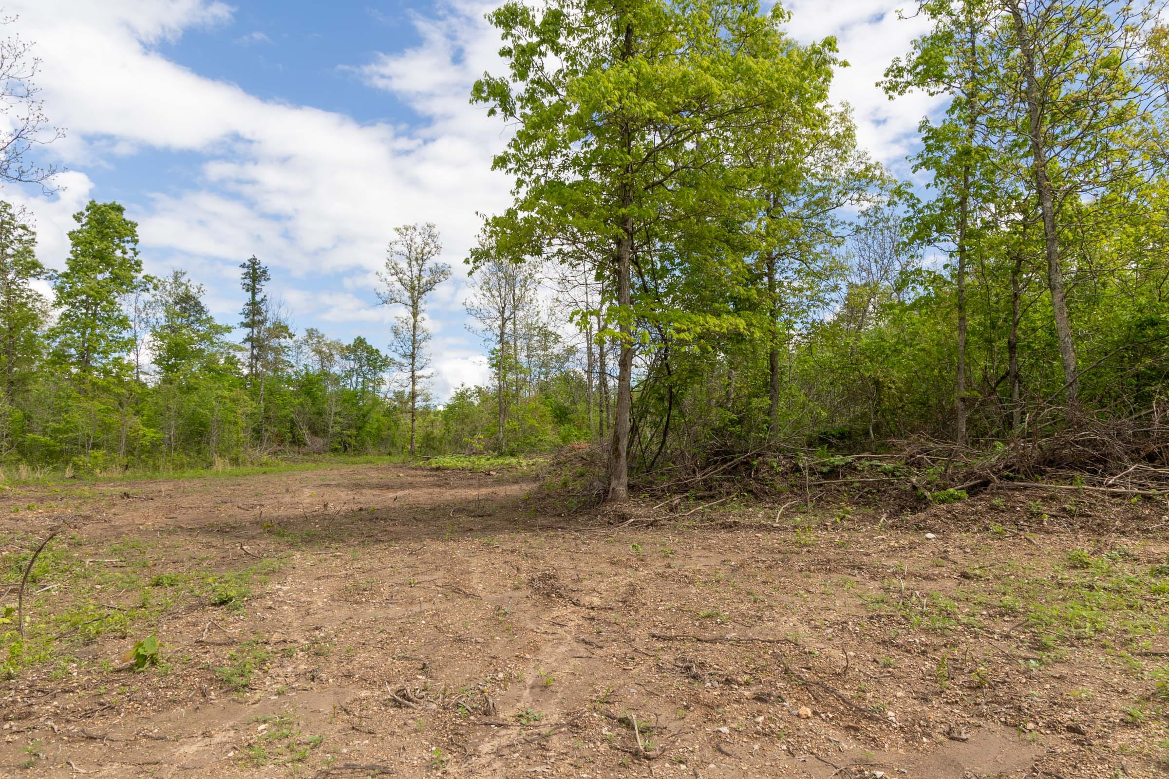 Sleepy Hollow Phase II Tract 105 photo 11