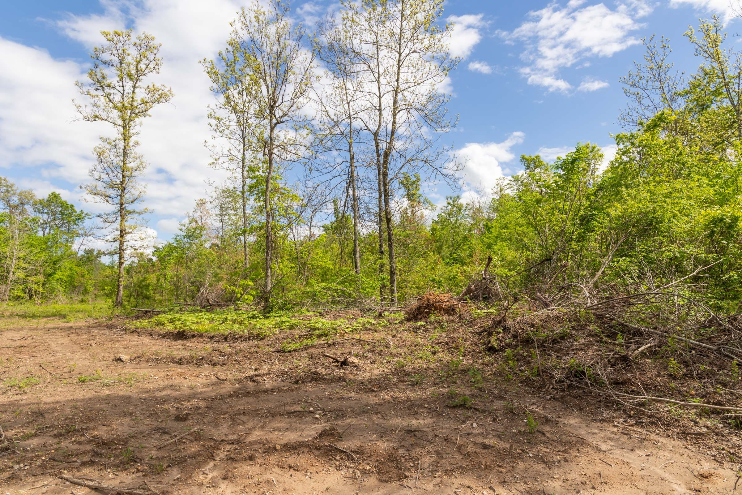 Sleepy Hollow Phase II Tract 105 photo 10