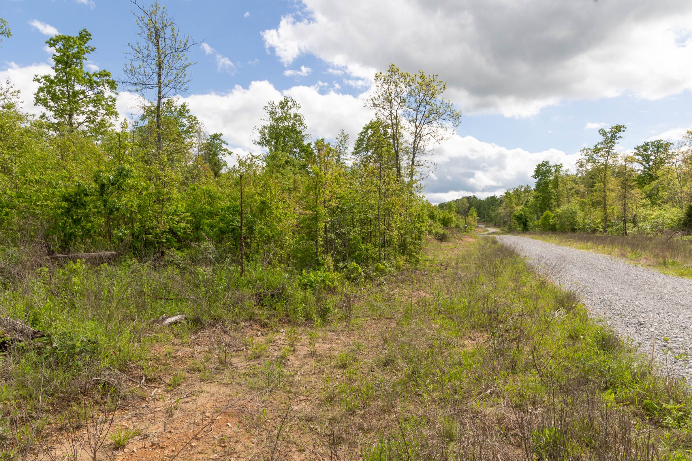 Sleepy Hollow Phase II Tract 105 photo 8