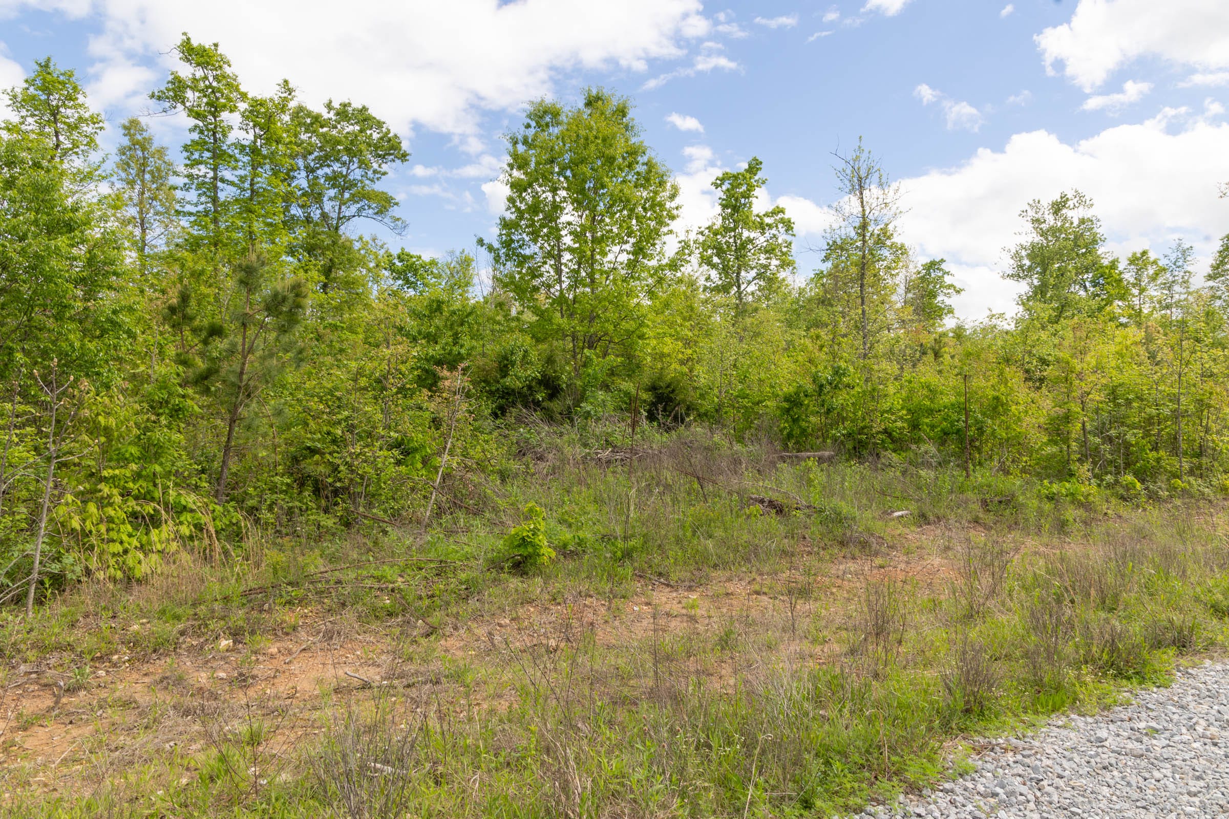Sleepy Hollow Phase II Tract 105 photo 7