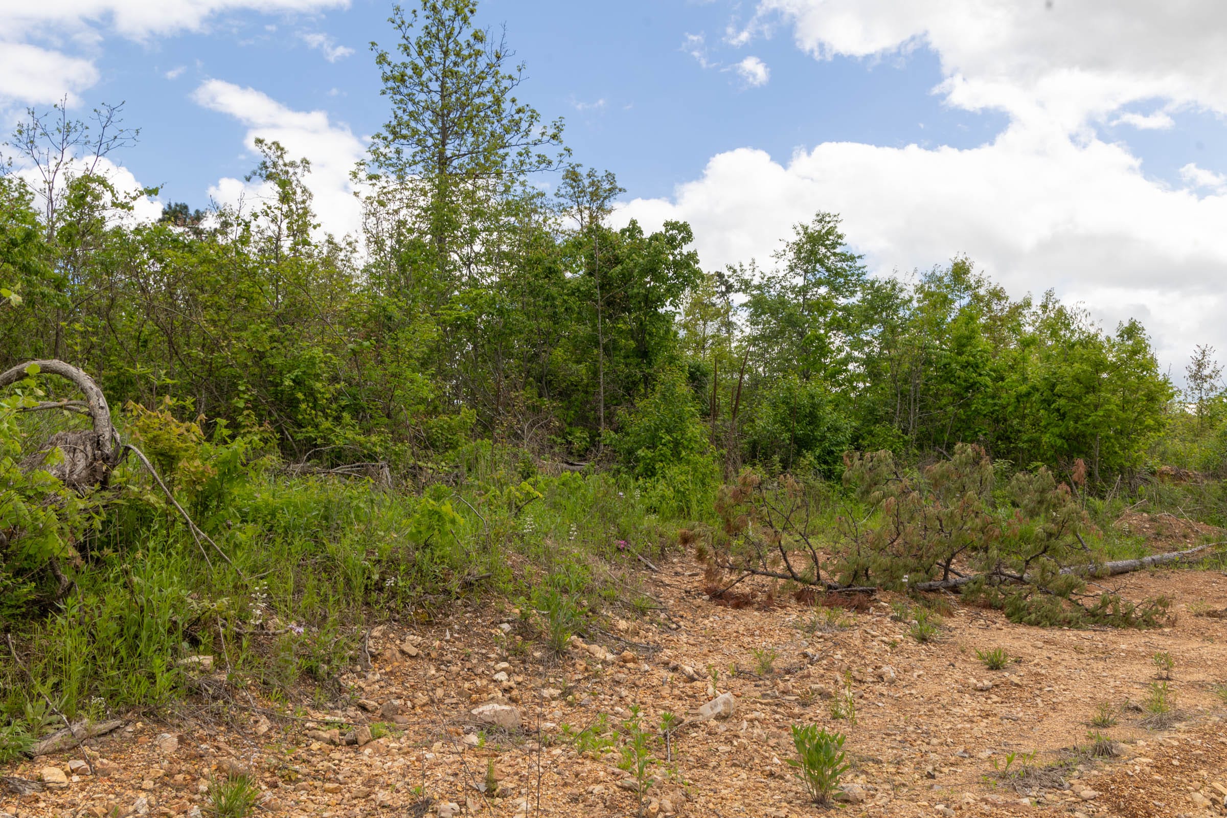 Sleepy Hollow Phase II Tract 105 photo 6