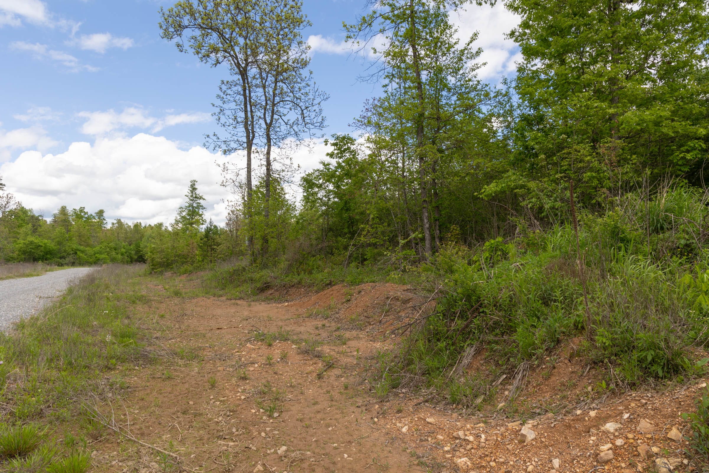 Sleepy Hollow Phase II Tract 105 photo 5
