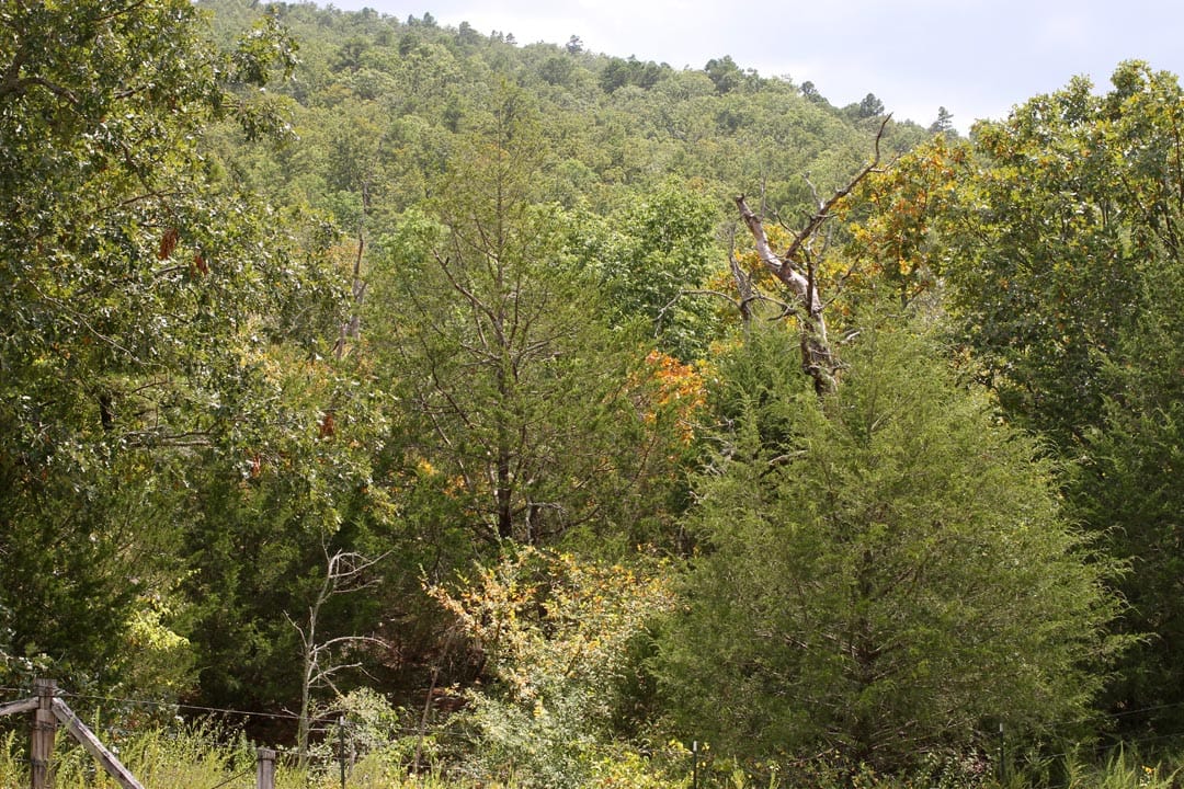 Lakeview Private Reserve Tract 6 photo 2