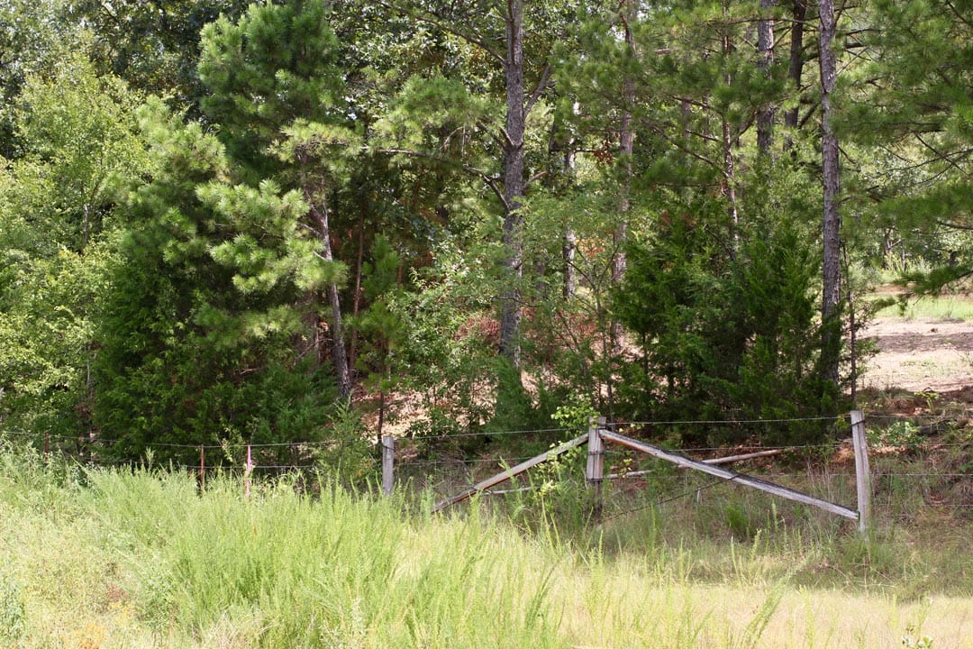 Lakeview Private Reserve Tract 6 photo 5
