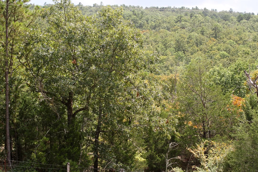 Lakeview Private Reserve Tract 6 photo 6