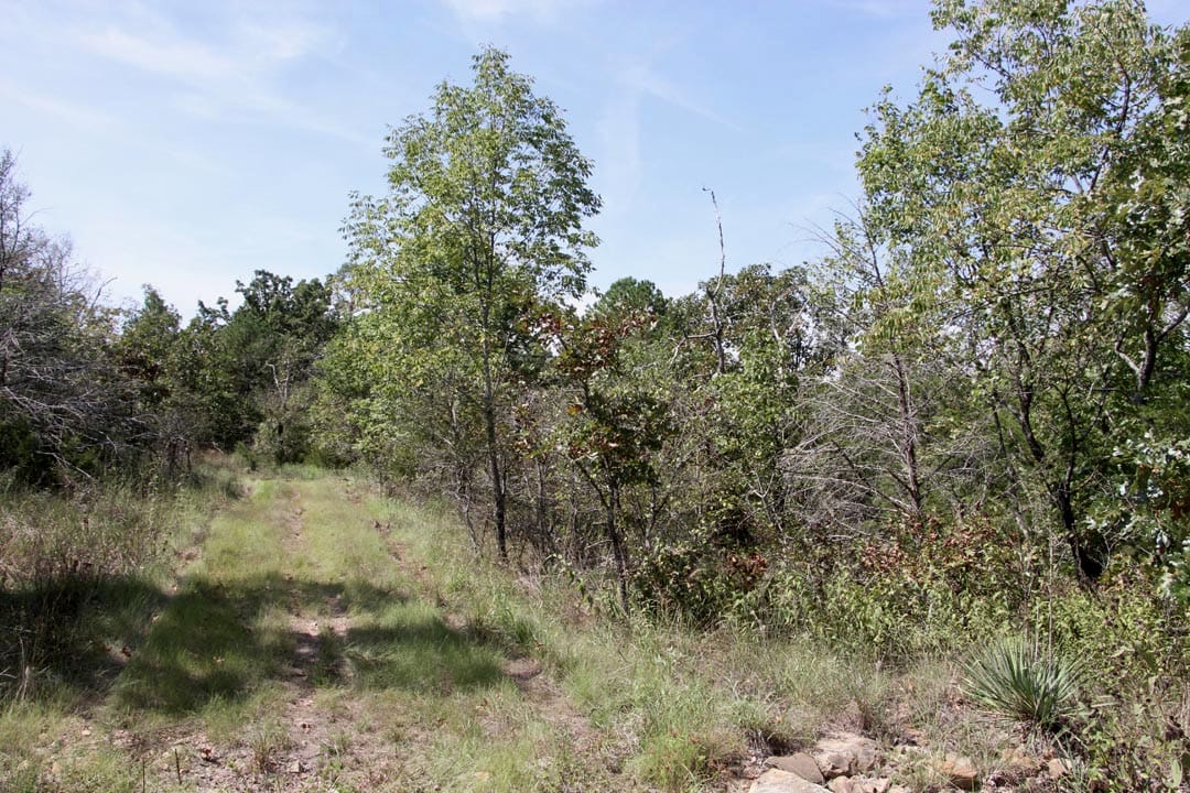 Lakeview Private Reserve Tract 6 photo 8