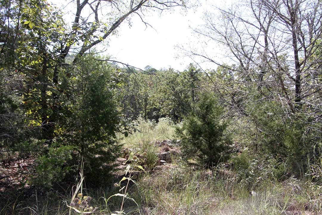 Lakeview Private Reserve Tract 6 photo 9