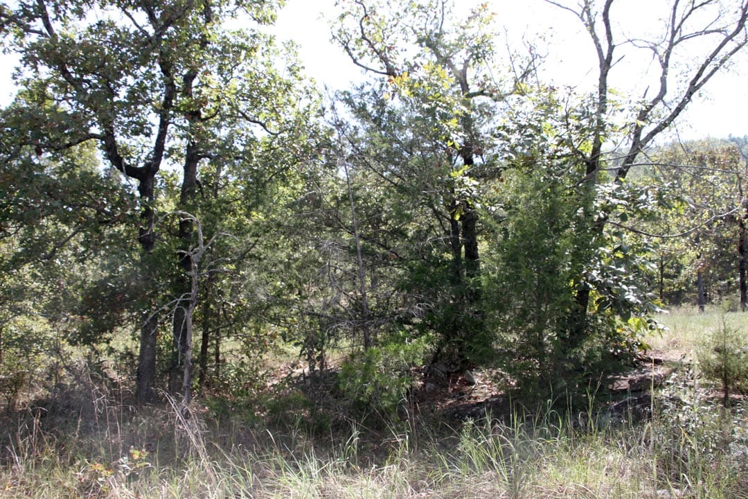 Lakeview Private Reserve Tract 6 photo 10