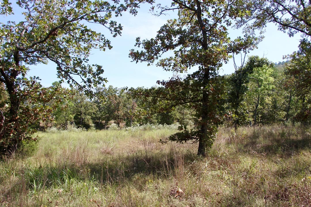 Lakeview Private Reserve Tract 6 photo 13