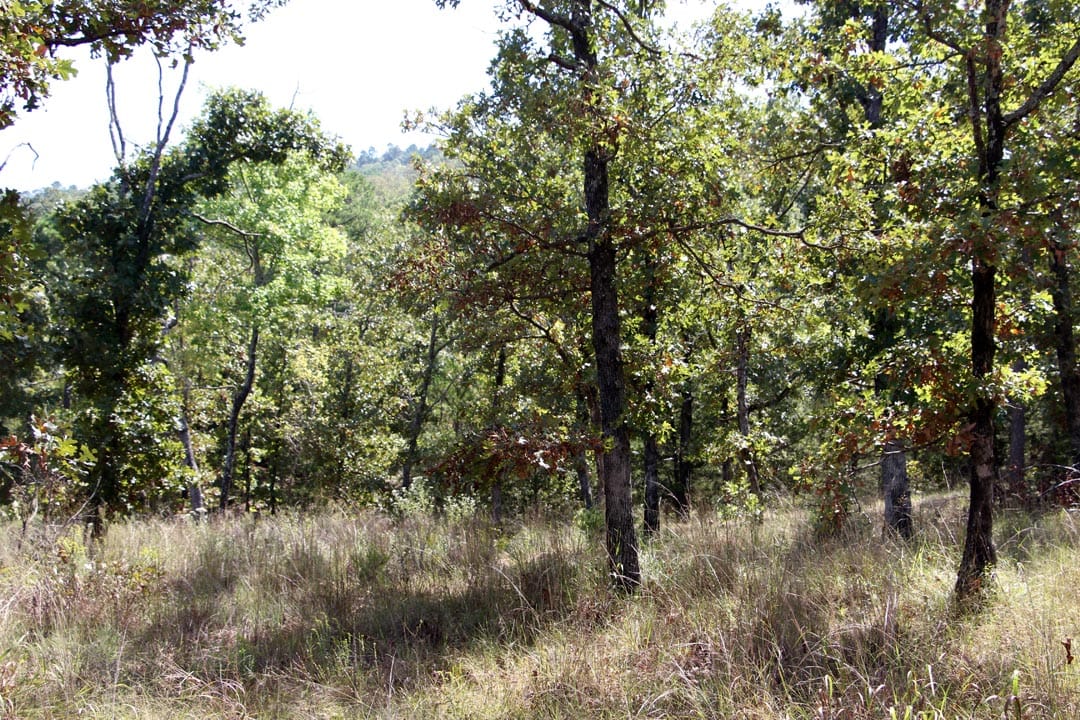 Lakeview Private Reserve Tract 6 photo 14