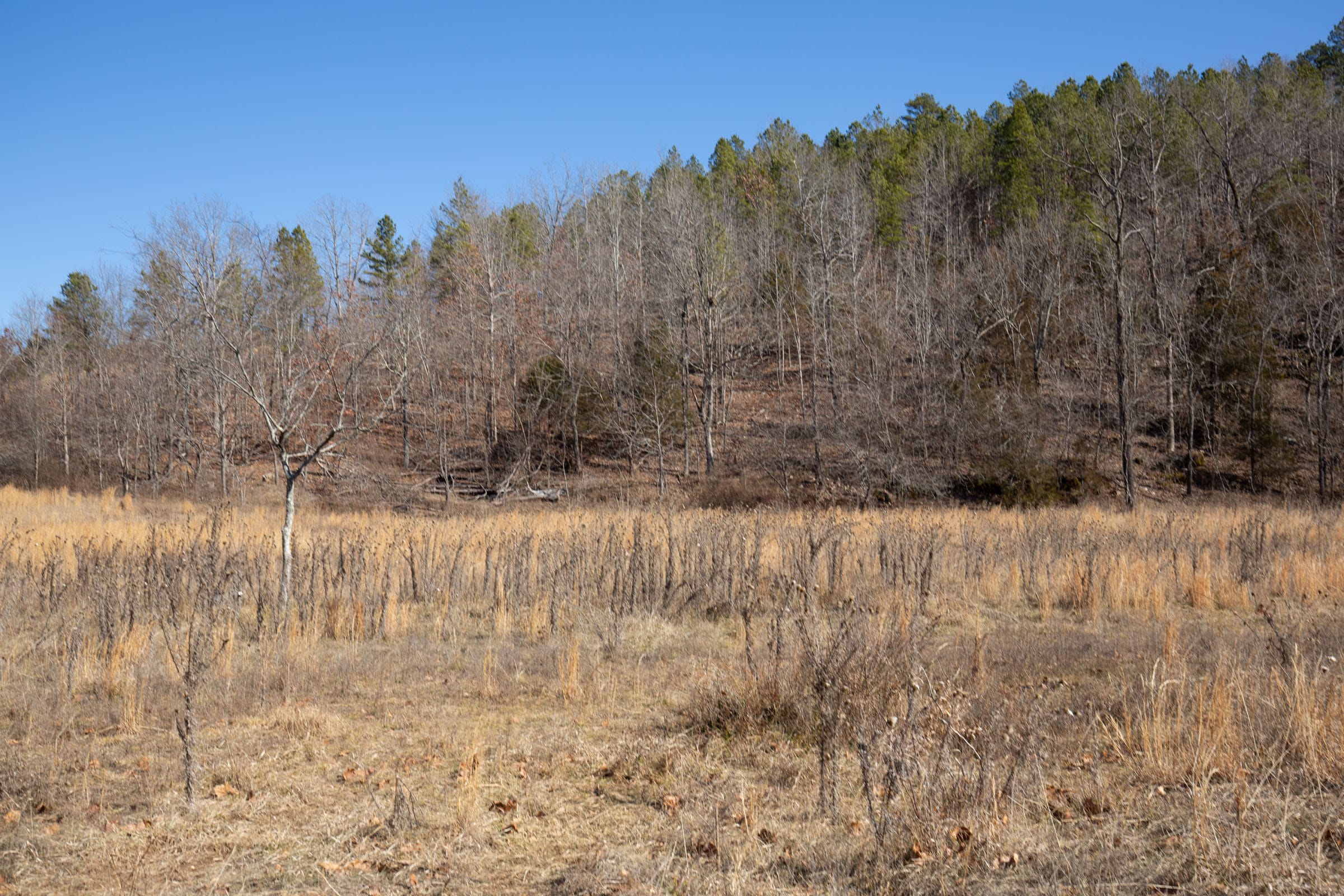 O’Connor Crossing Tract 17 photo 10