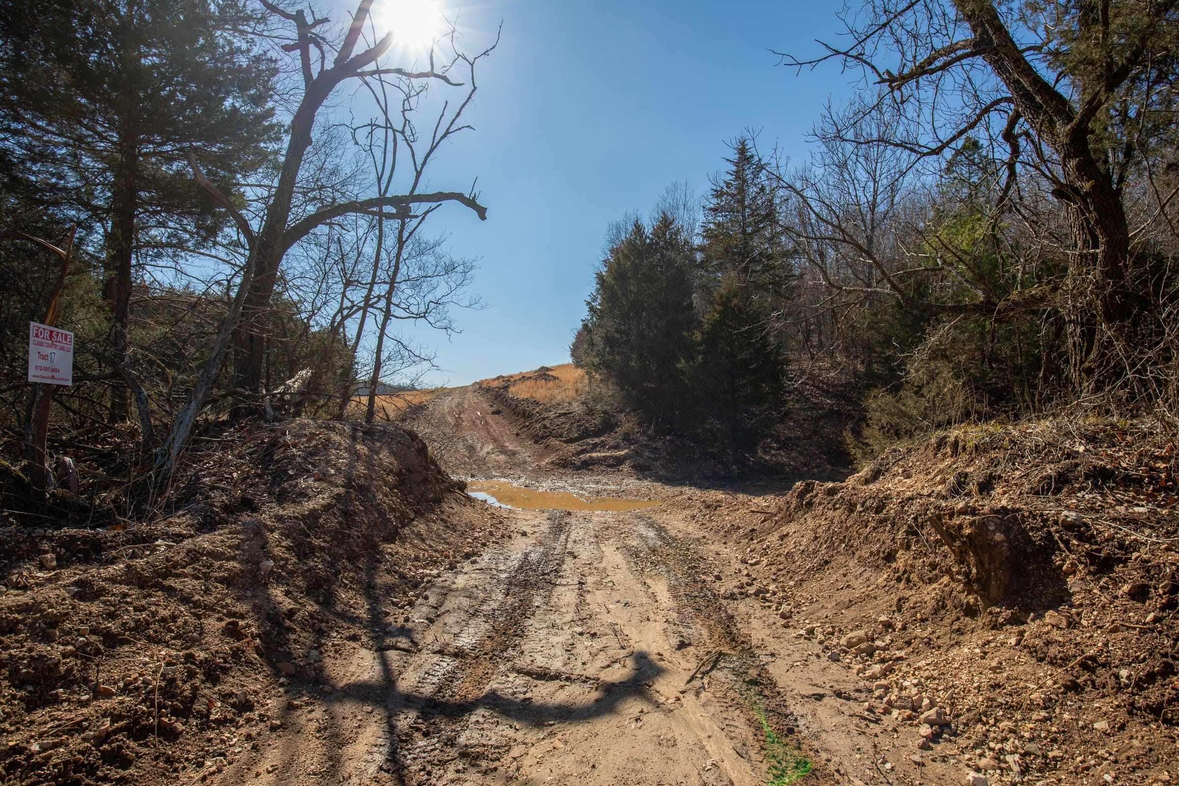 O’Connor Crossing Tract 17 photo 8