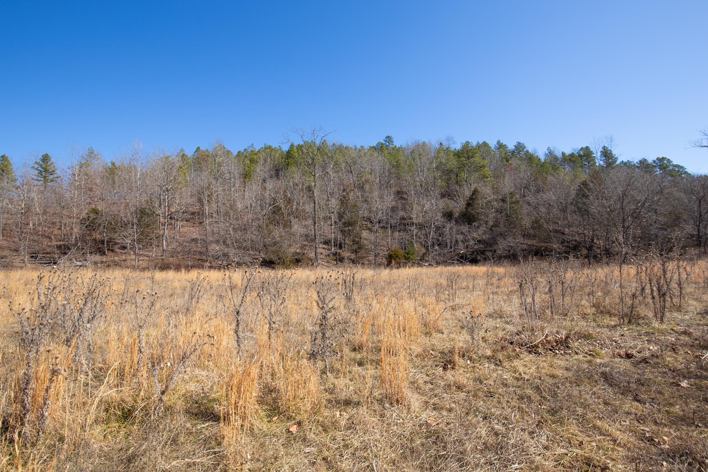 O’Connor Crossing Tract 17 photo 12