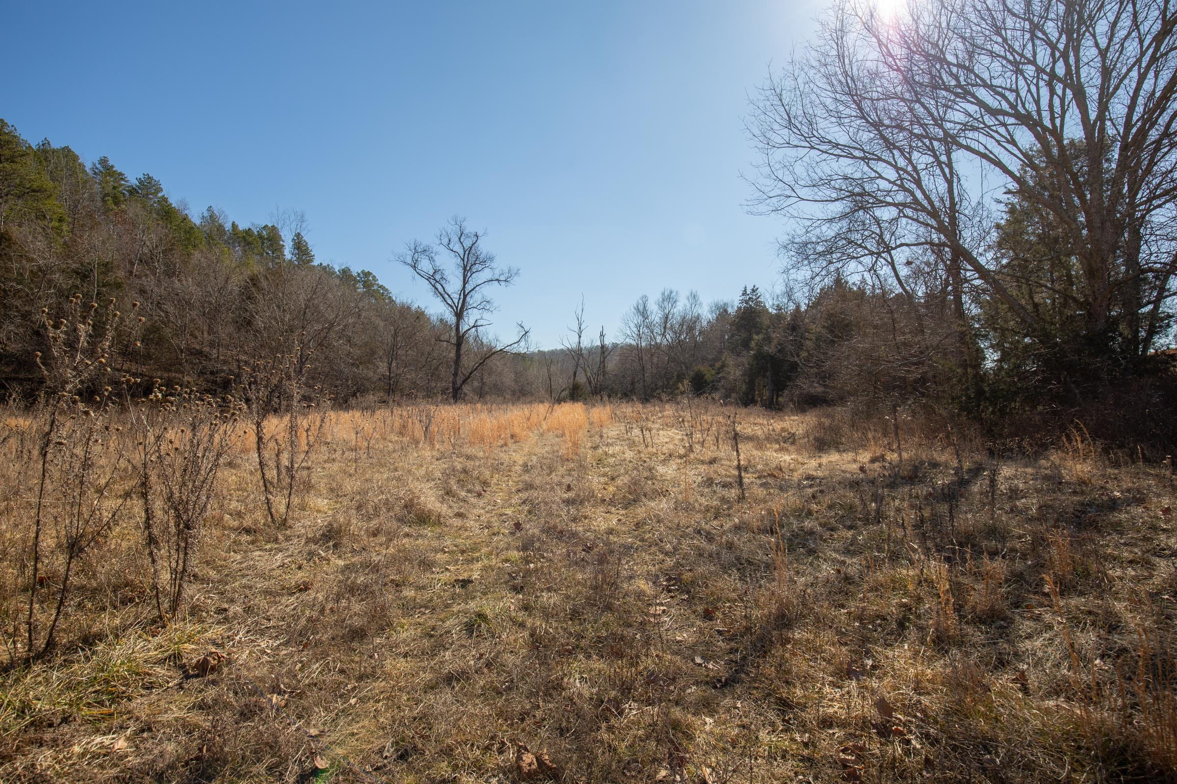 O’Connor Crossing Tract 17 photo 5