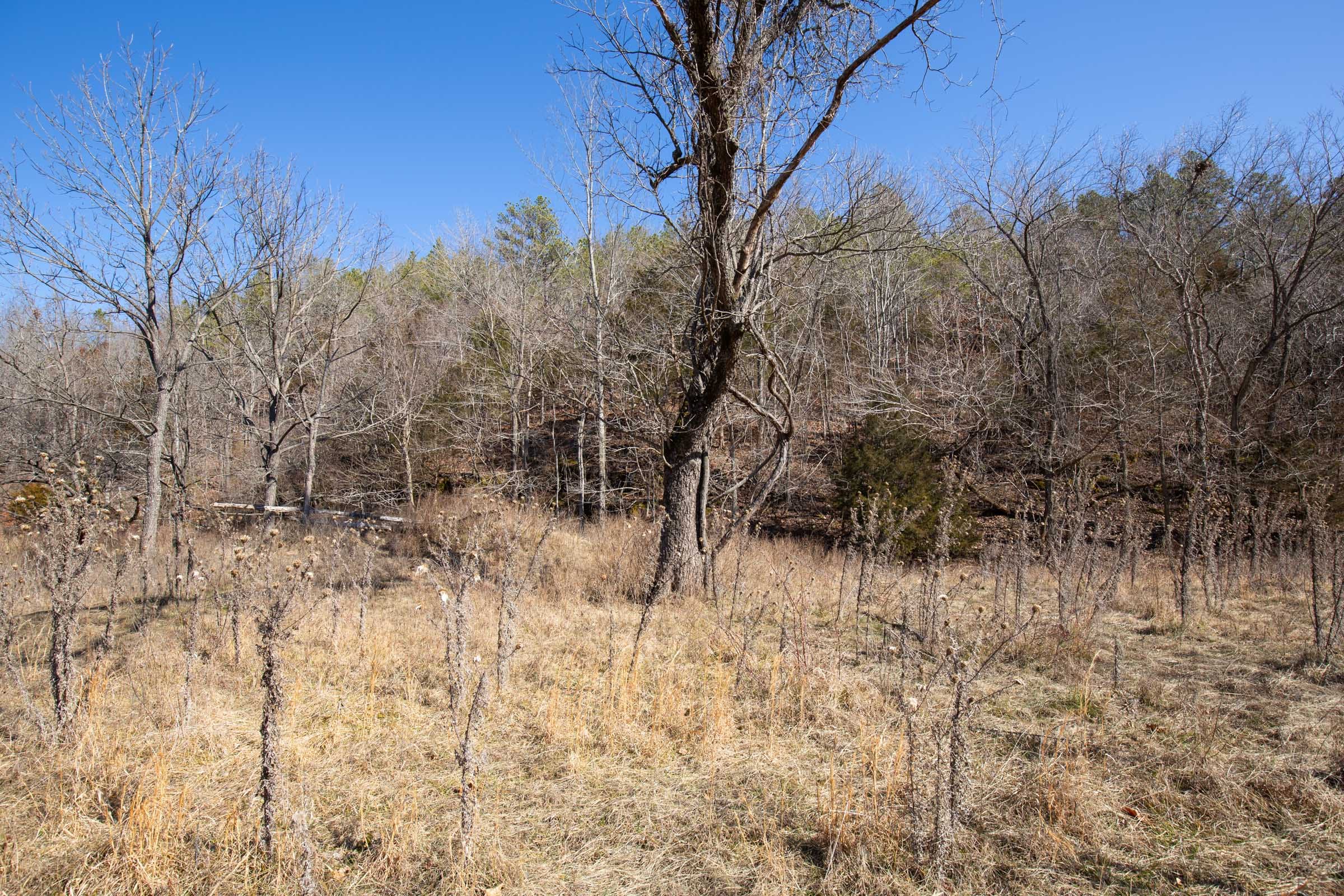 O’Connor Crossing Tract 17 photo 7