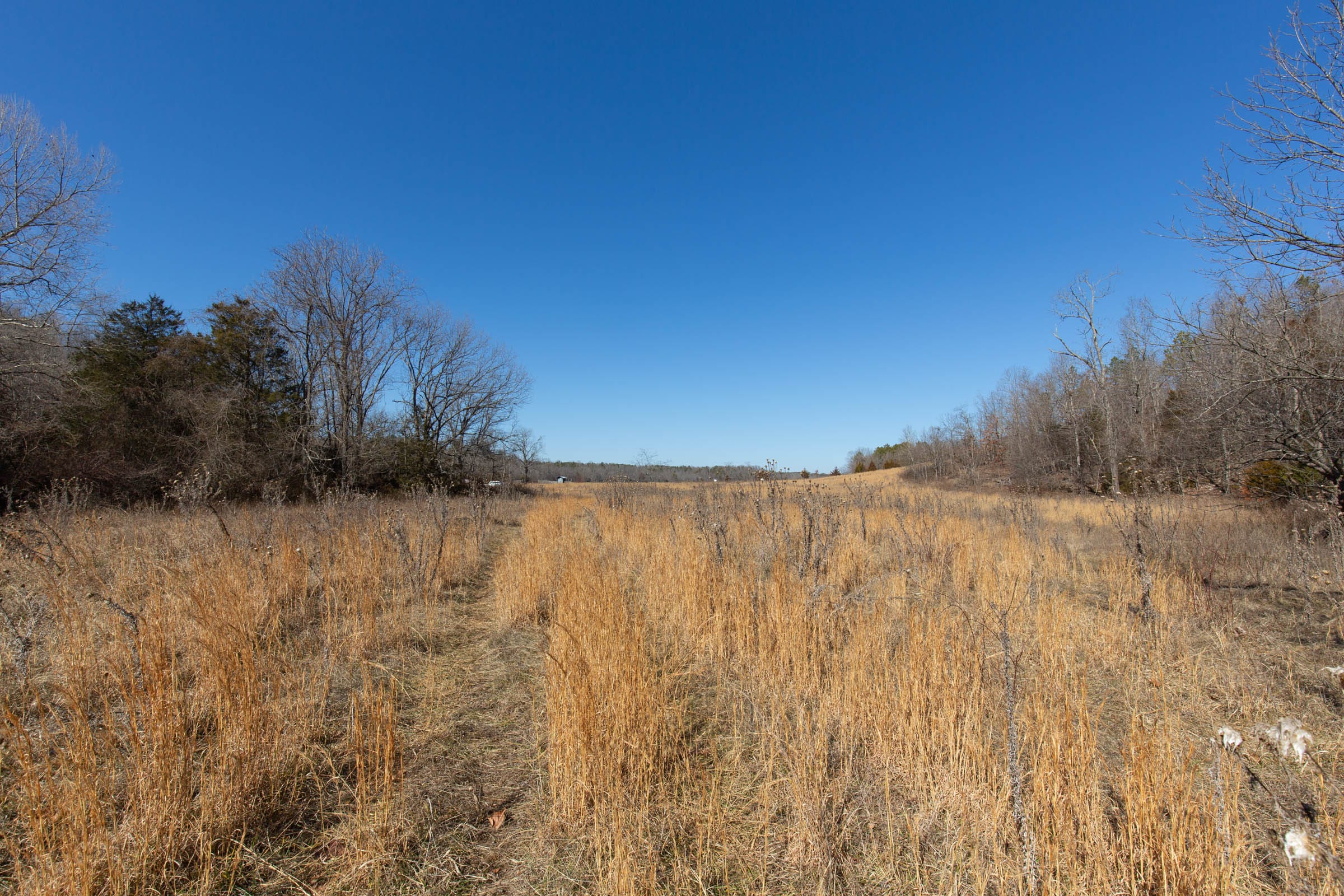 O’Connor Crossing Tract 17 photo 3