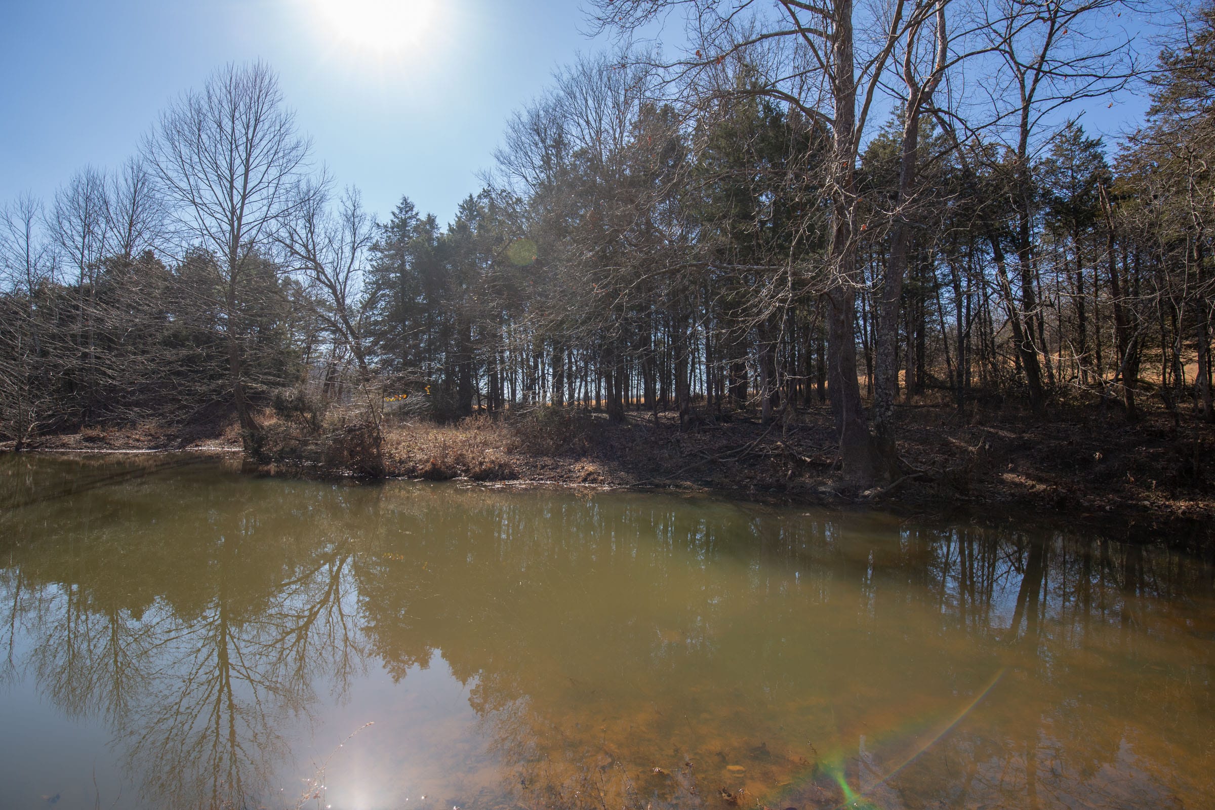 O’Connor Crossing Tract 17 photo 2