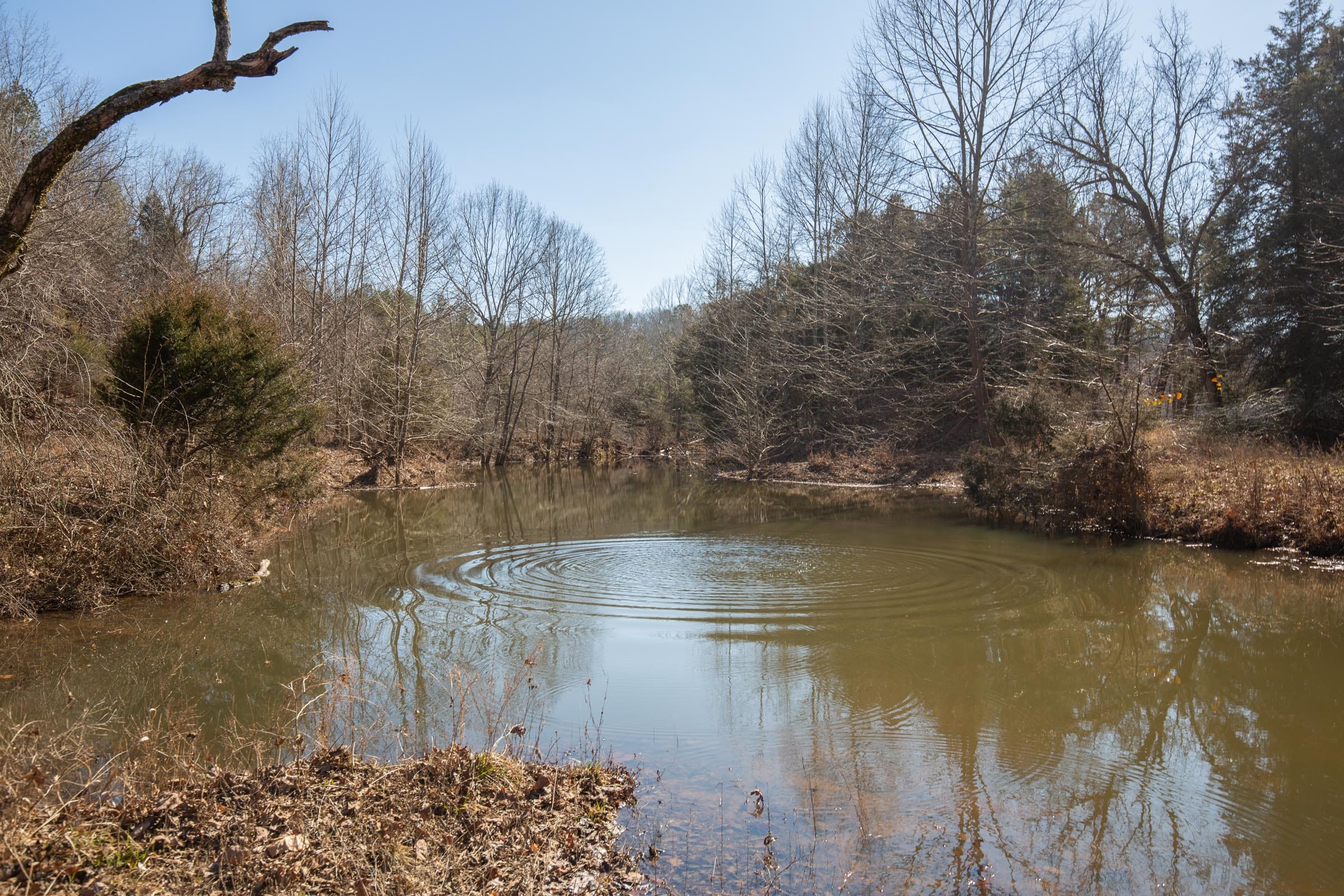 O’Connor Crossing Tract 17 photo 4