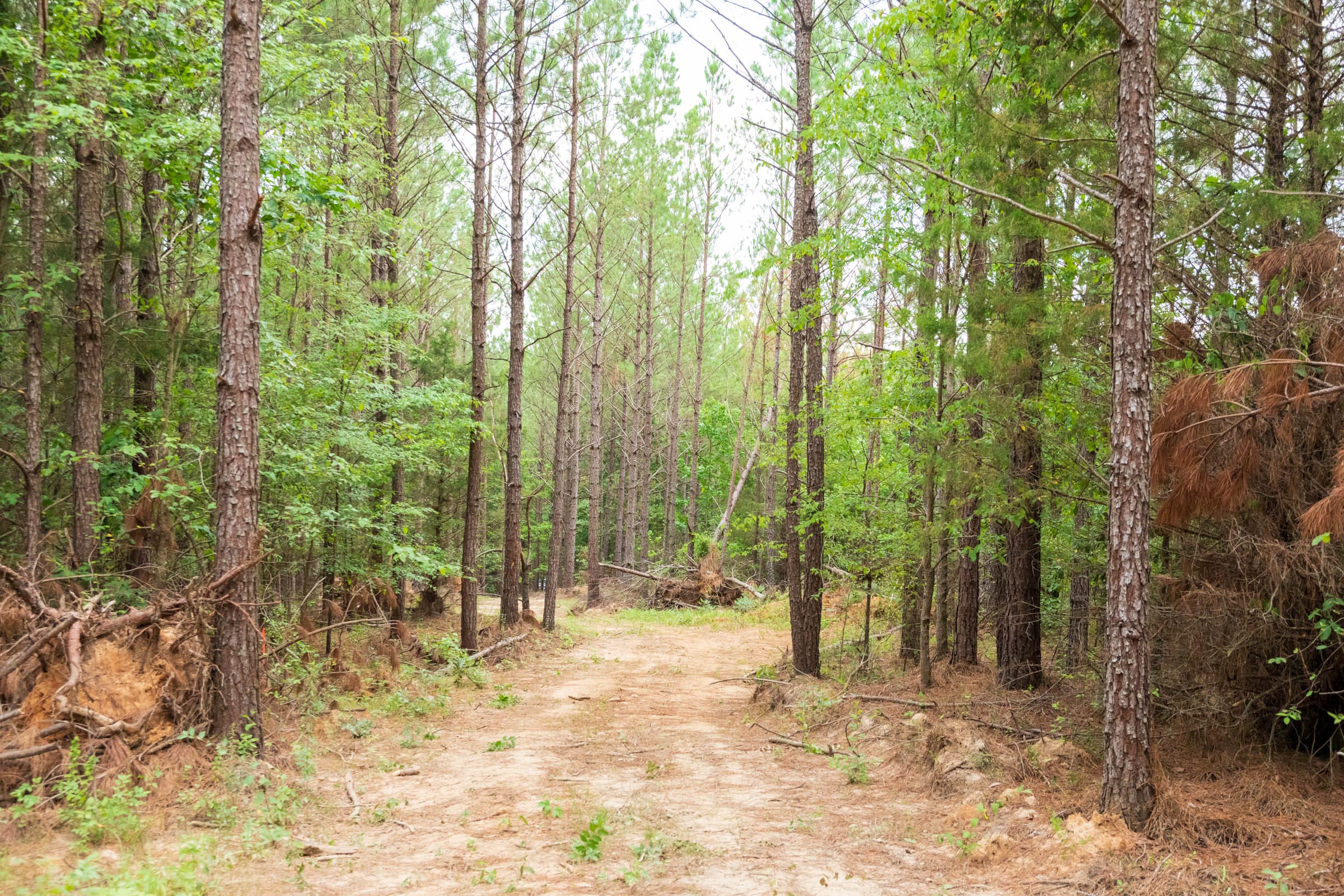 Whiskey Ridge Tract 65 photo 3